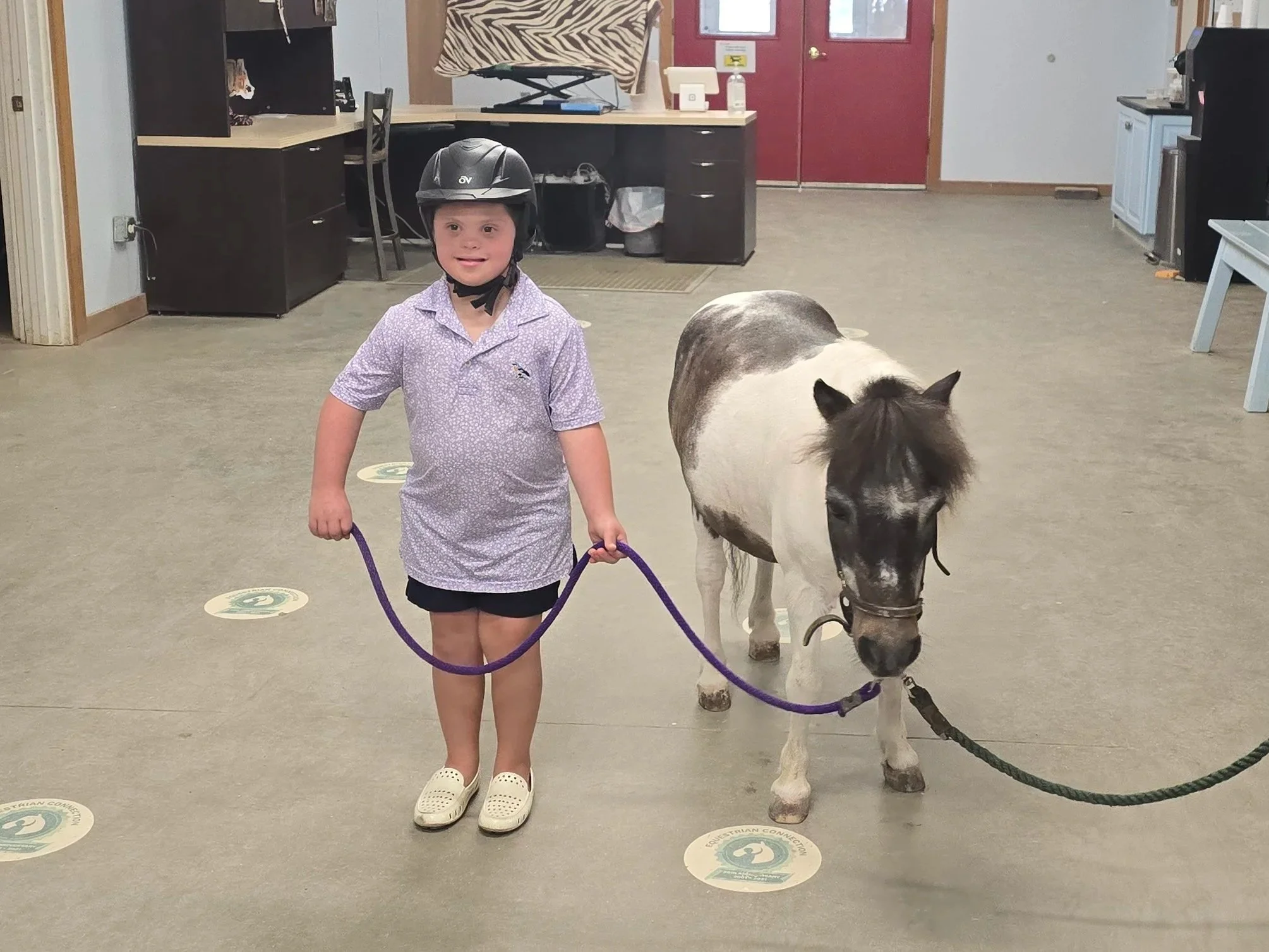 A young girl wearing a helmet and a light purple shirt walks a white and gray horse indoors. The girl holds a purple leash, and the horse is looking downward. The room has a beige carpeted floor with social distancing markers, furniture, and a red door in the background.