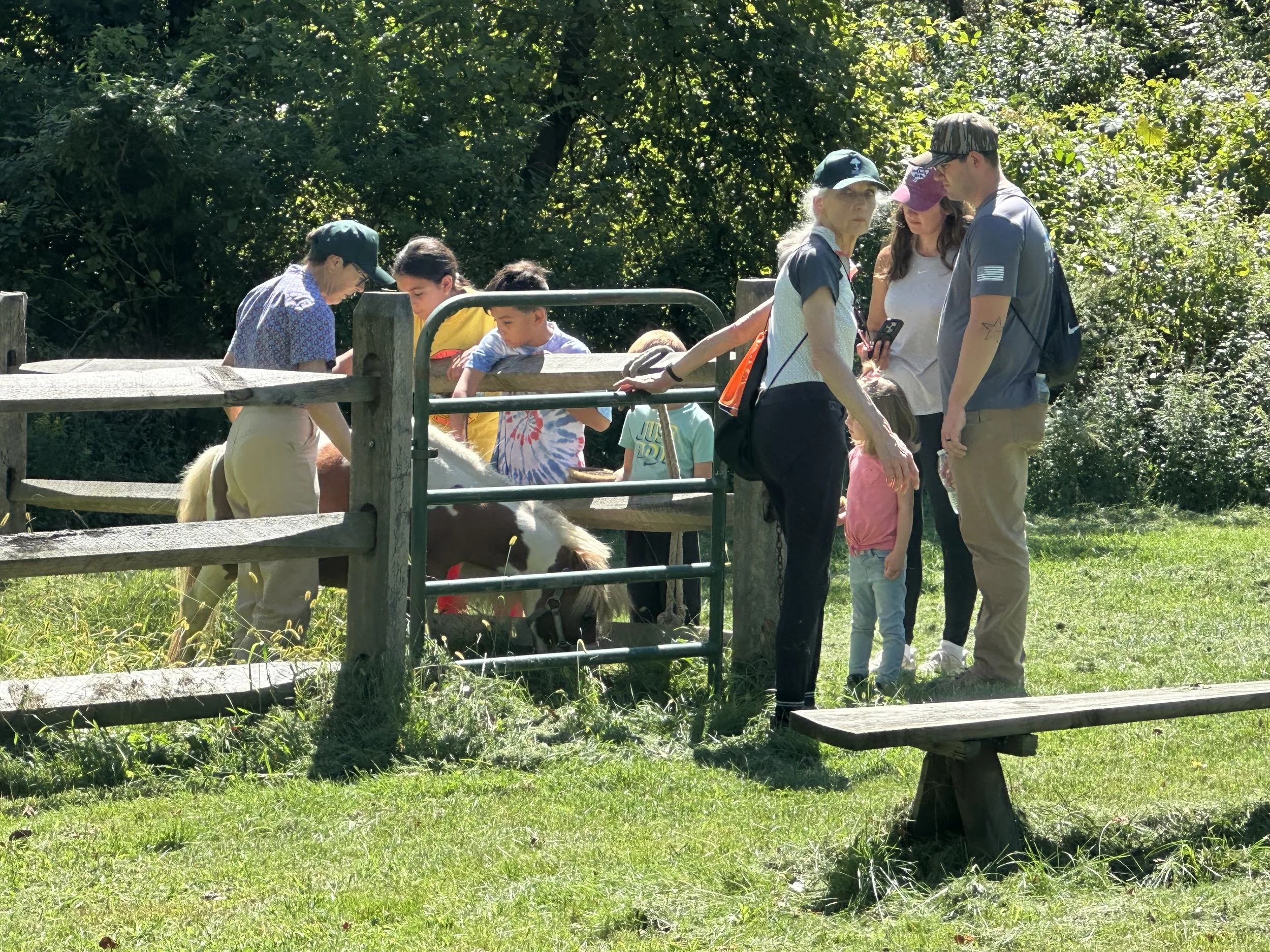 Hike With Minis: Basking Ridge