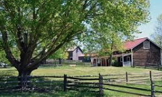 Longstreet Farm