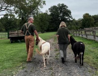 Hike With Minis: Basking Ridge