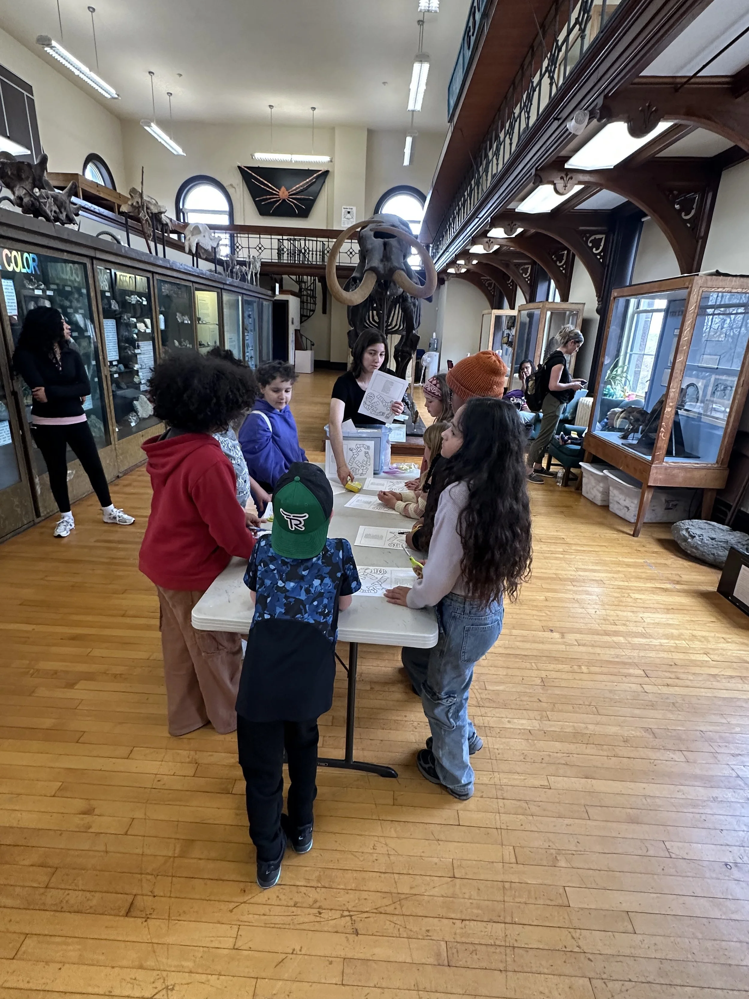 The Field Trip Society visited Rutgers Geology Museum, NJ.