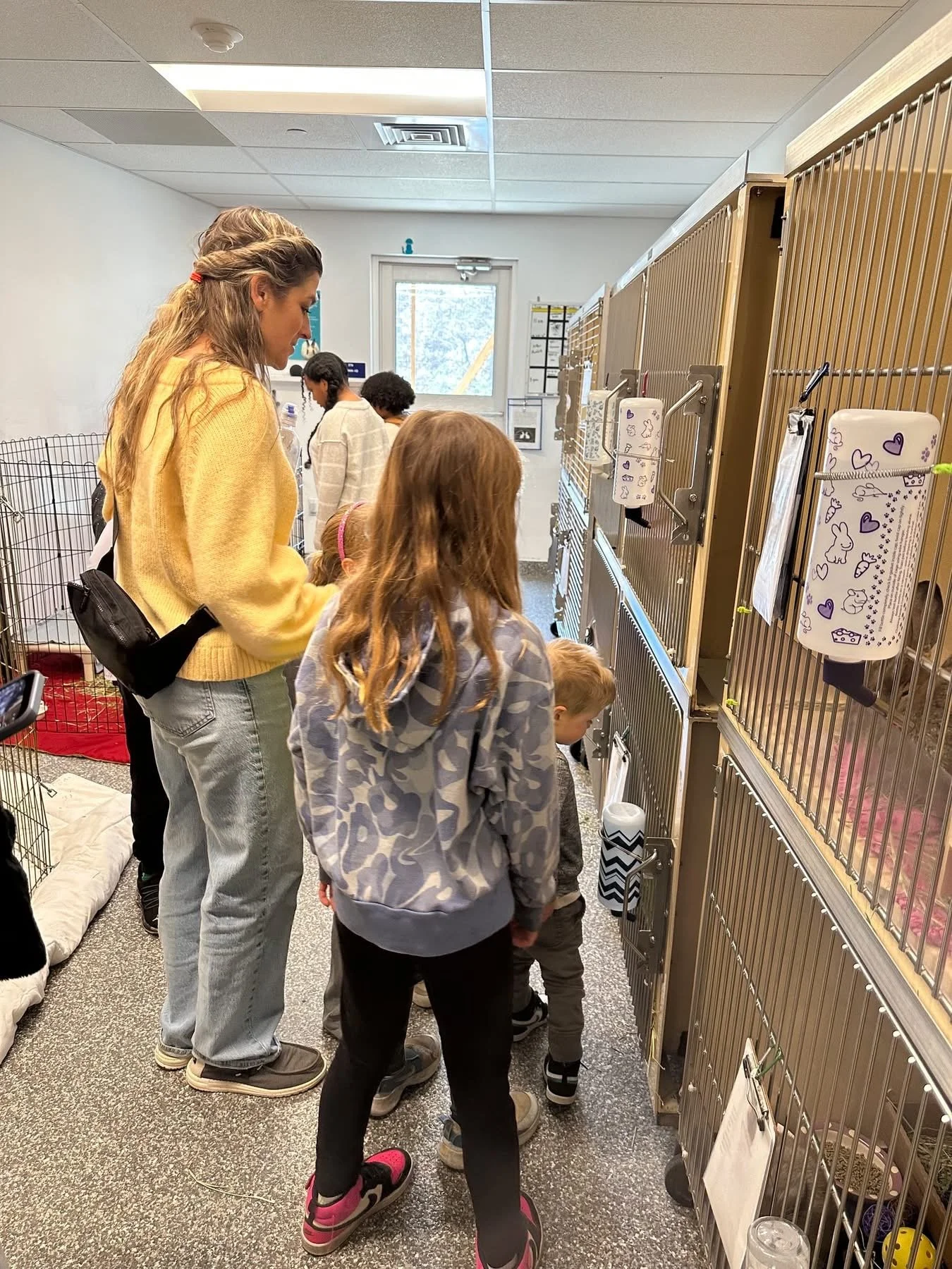 The Field Trip Society visited Animal Academy at Animal Welfare Association to learn about animals how they work to save them.