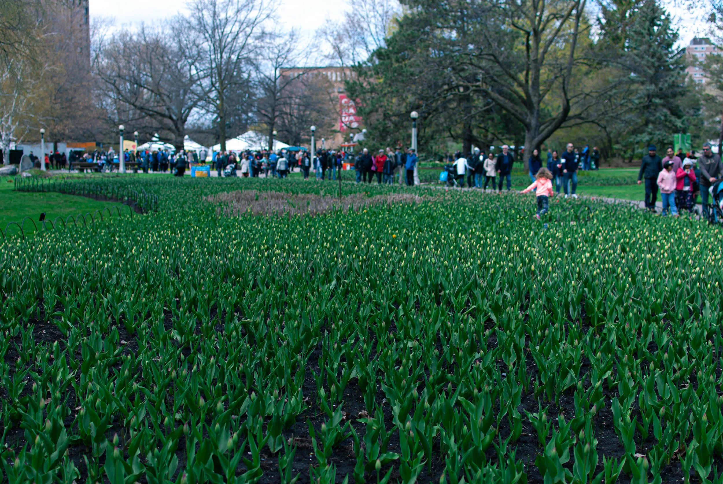 DSC_4802.jpg