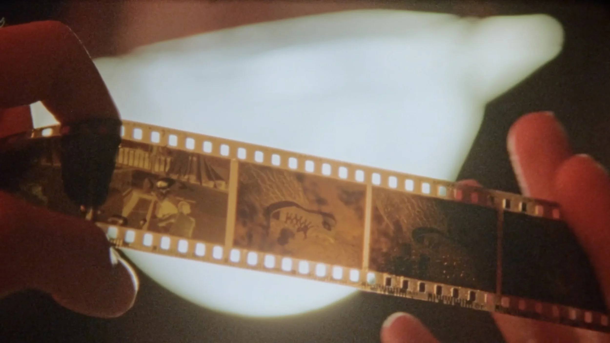 Converse - Dear Celluloid