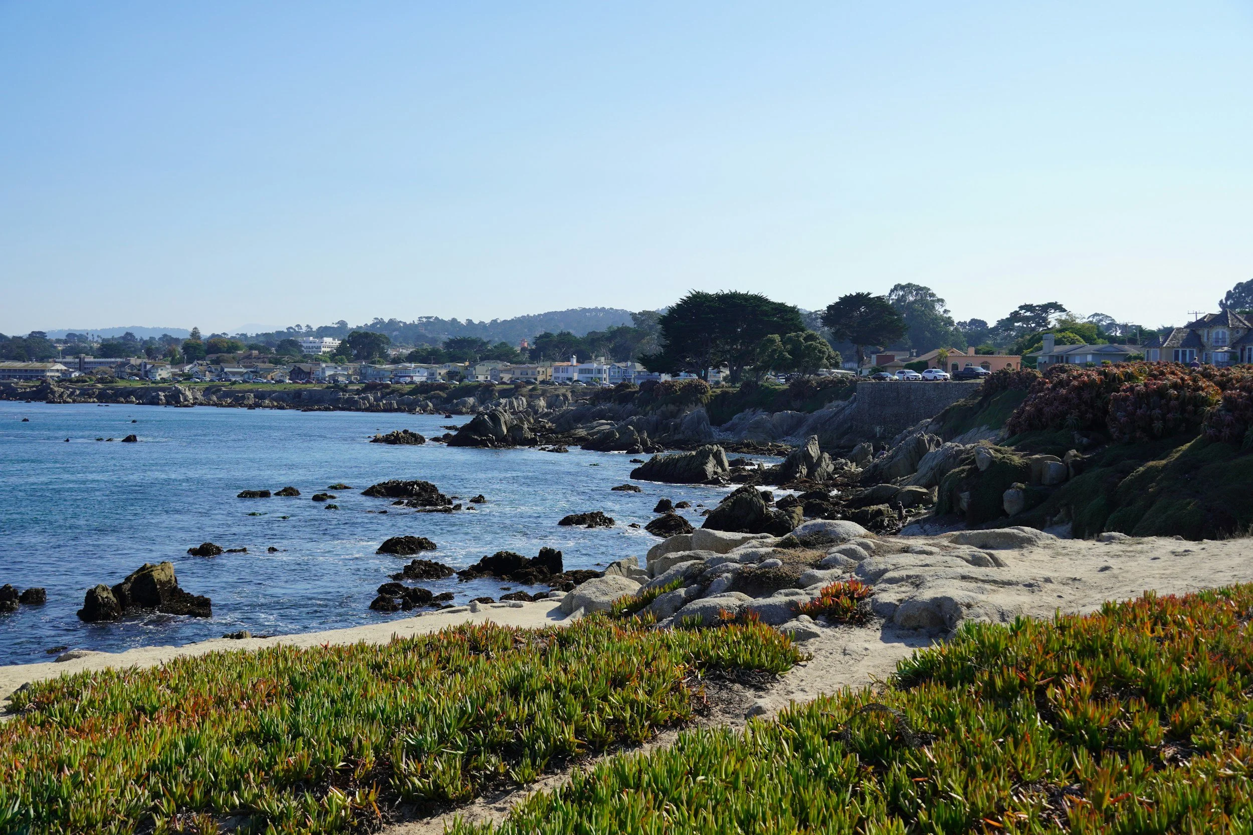 Coastal scene with sandy beach, green succulent plants, rocky shoreline, blue water, and houses with trees in the background under a clear sky.