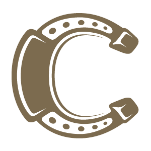 Illustration of a horseshoe in a metallic color.