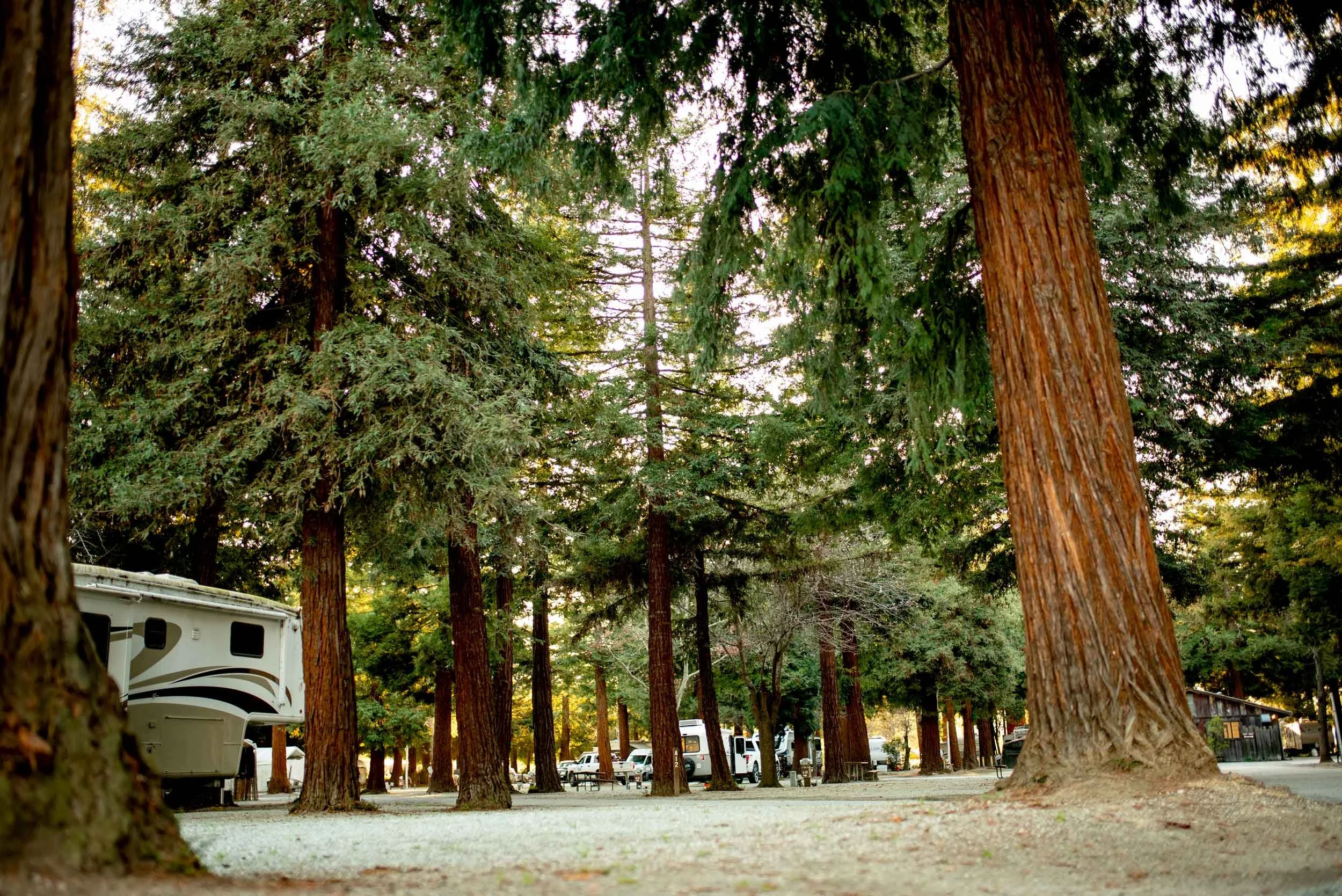 RV Campgrounds
