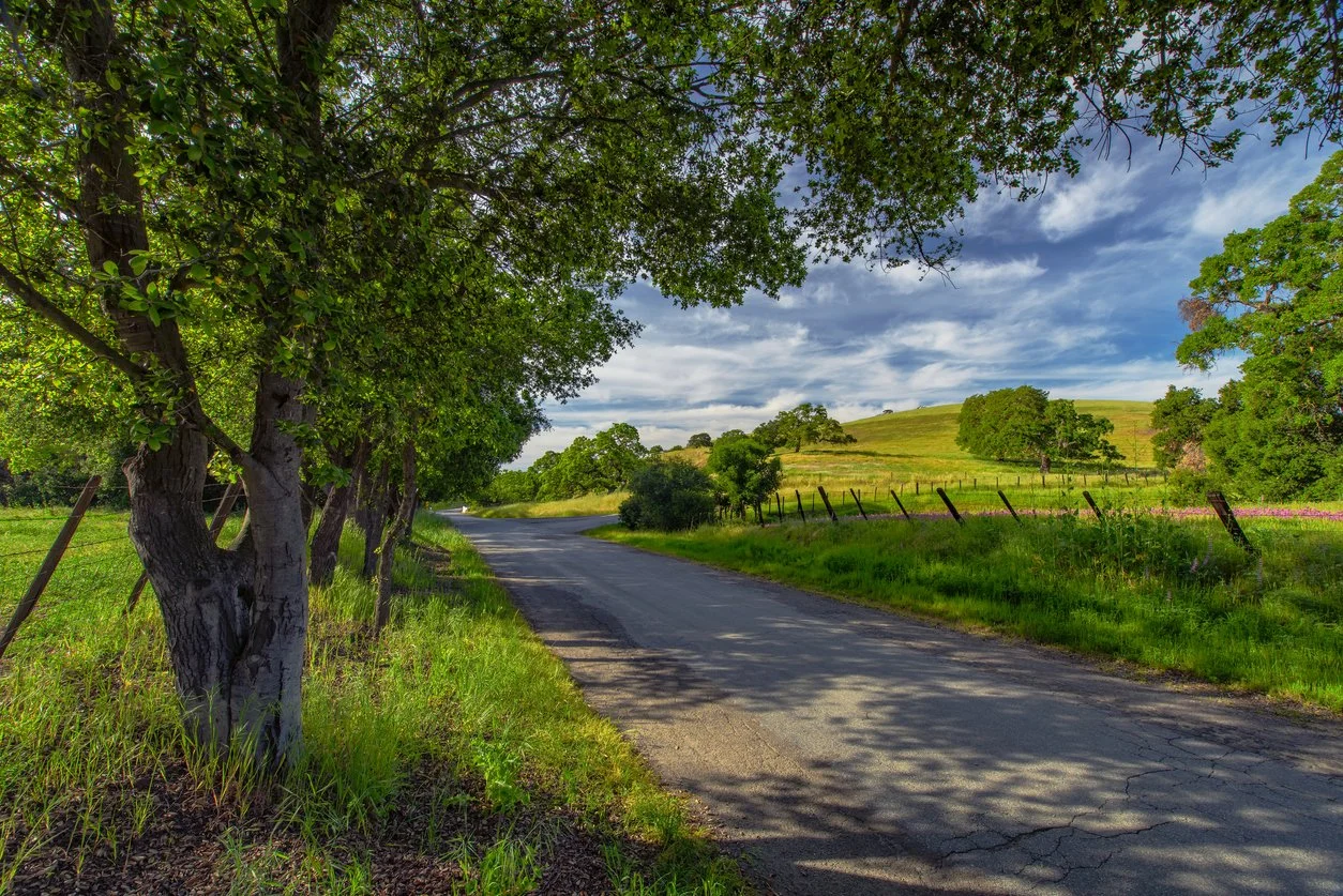 A rural scene with a winding road passing through green fields and trees under a partly cloudy sky.