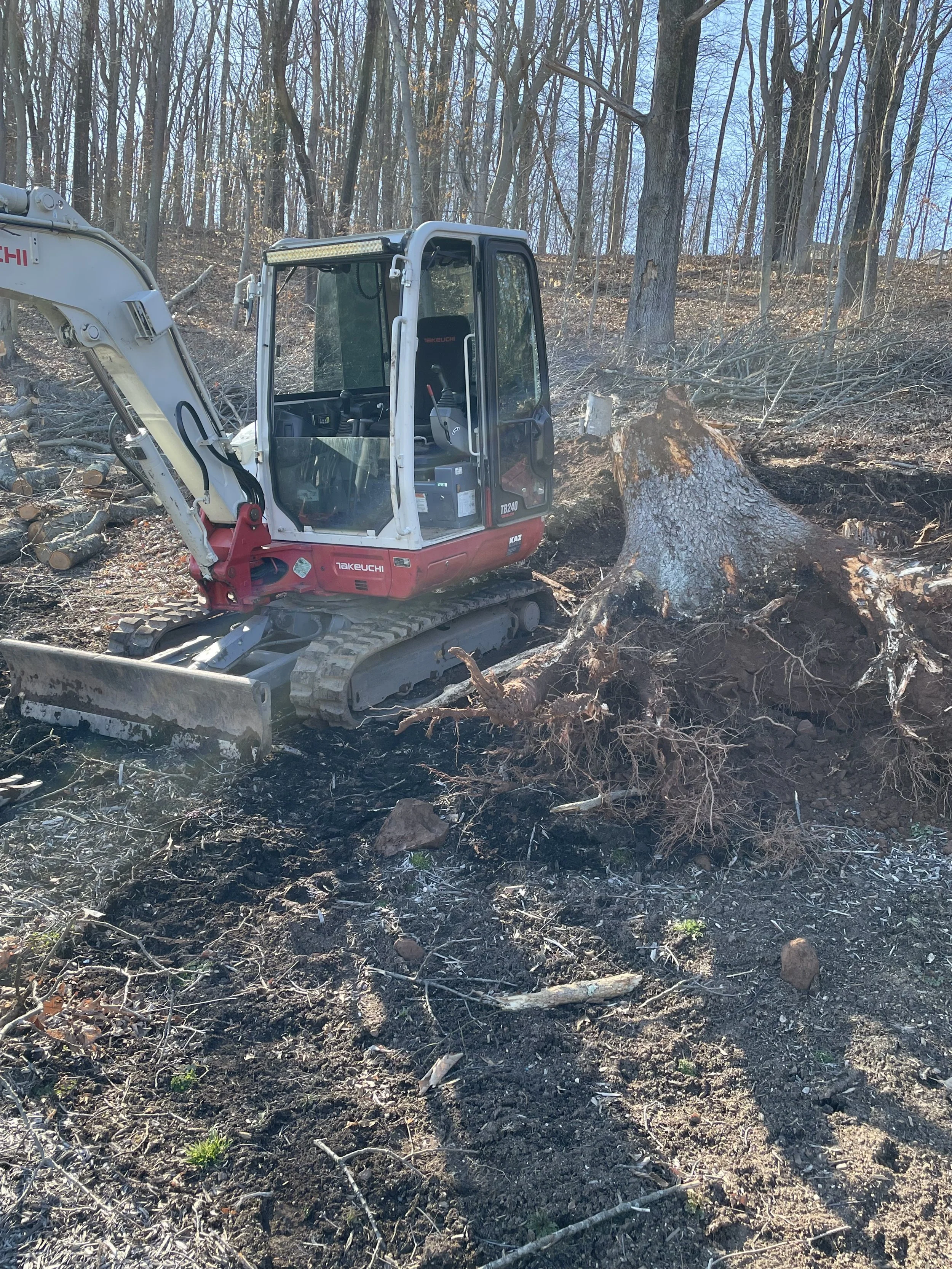 A small excavator in a wooded area with fallen trees and exposed roots.