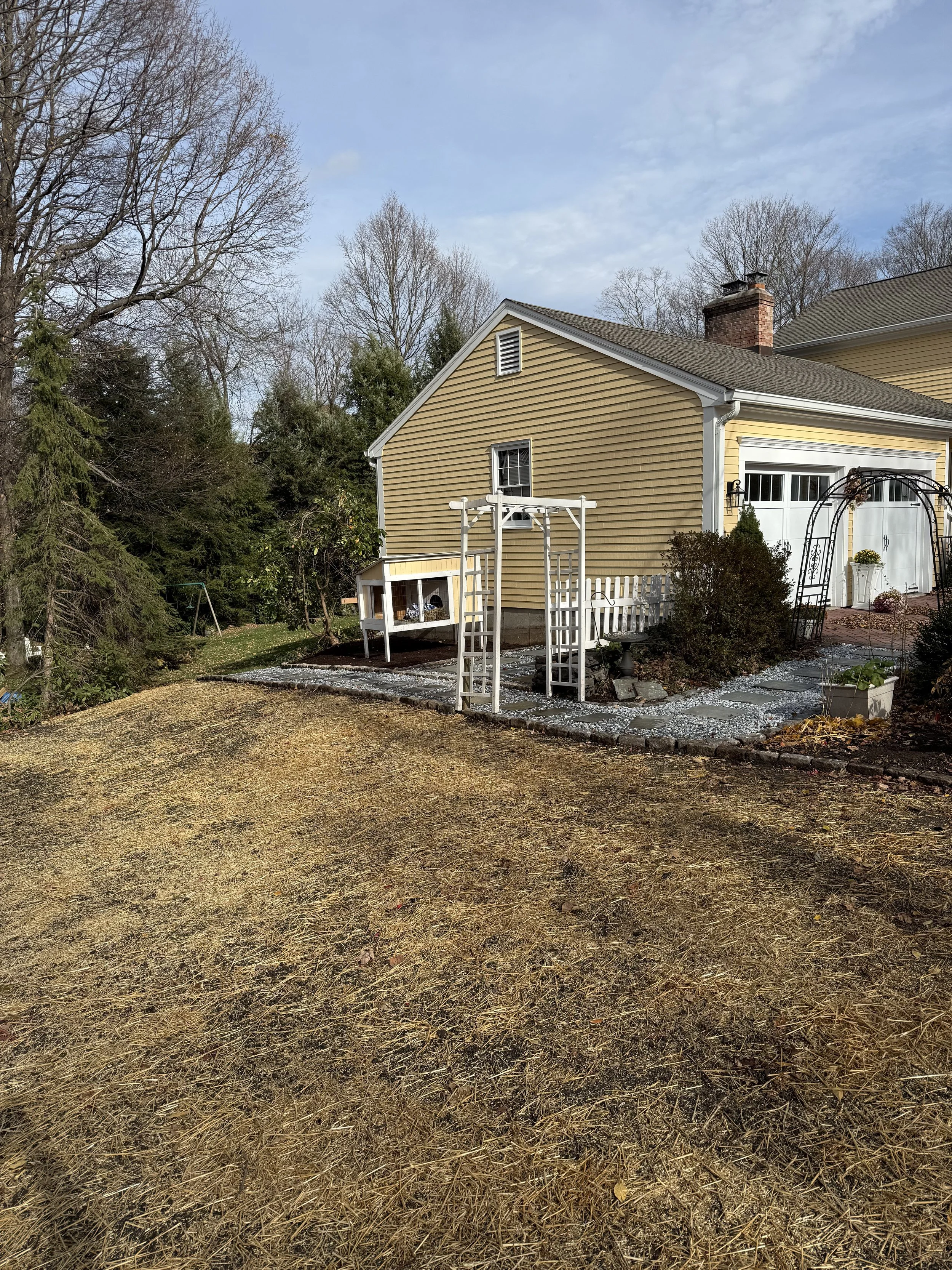 Tree & stump removal