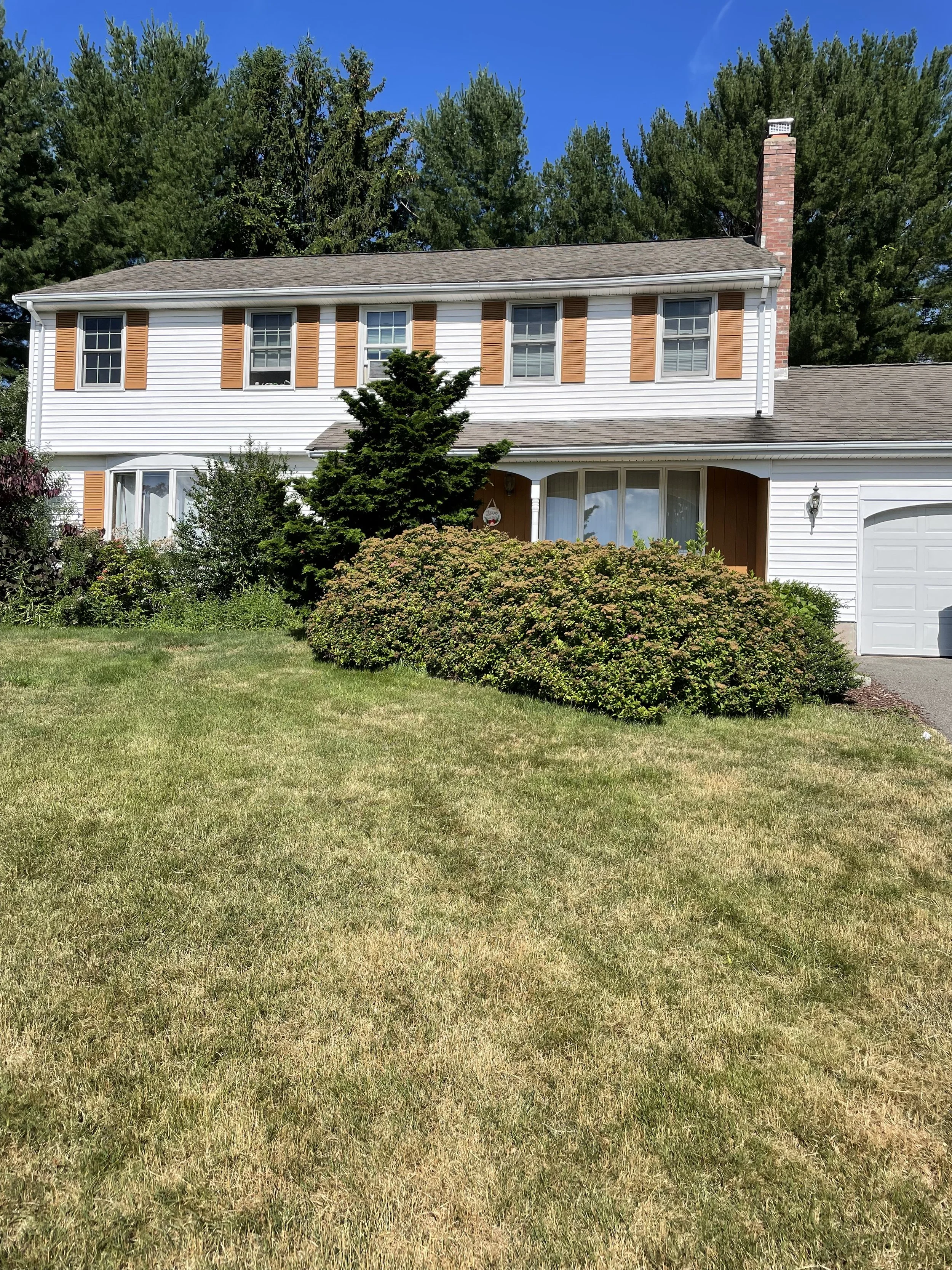 Brush Cutting / Removal