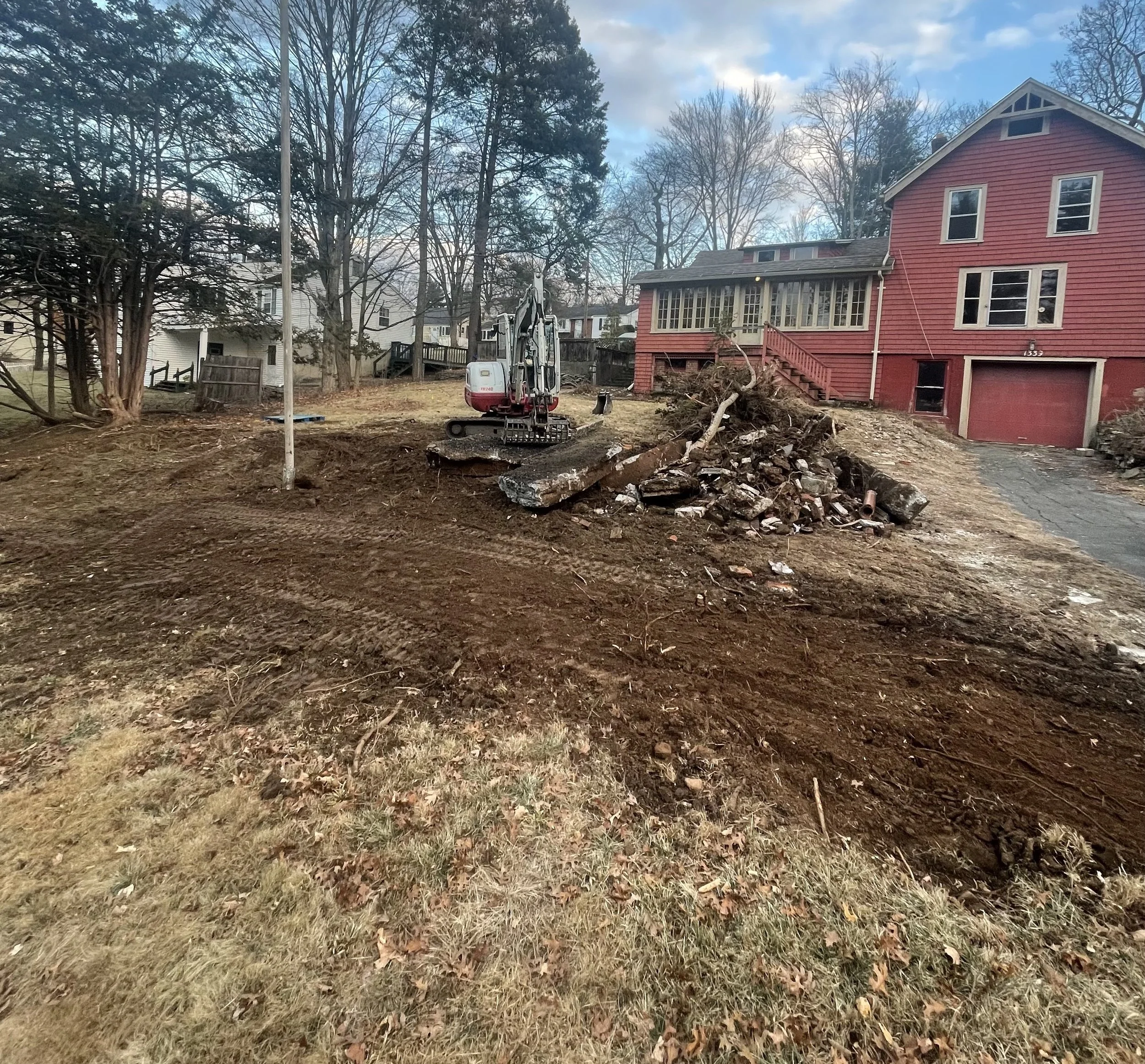 Tree & stump removal