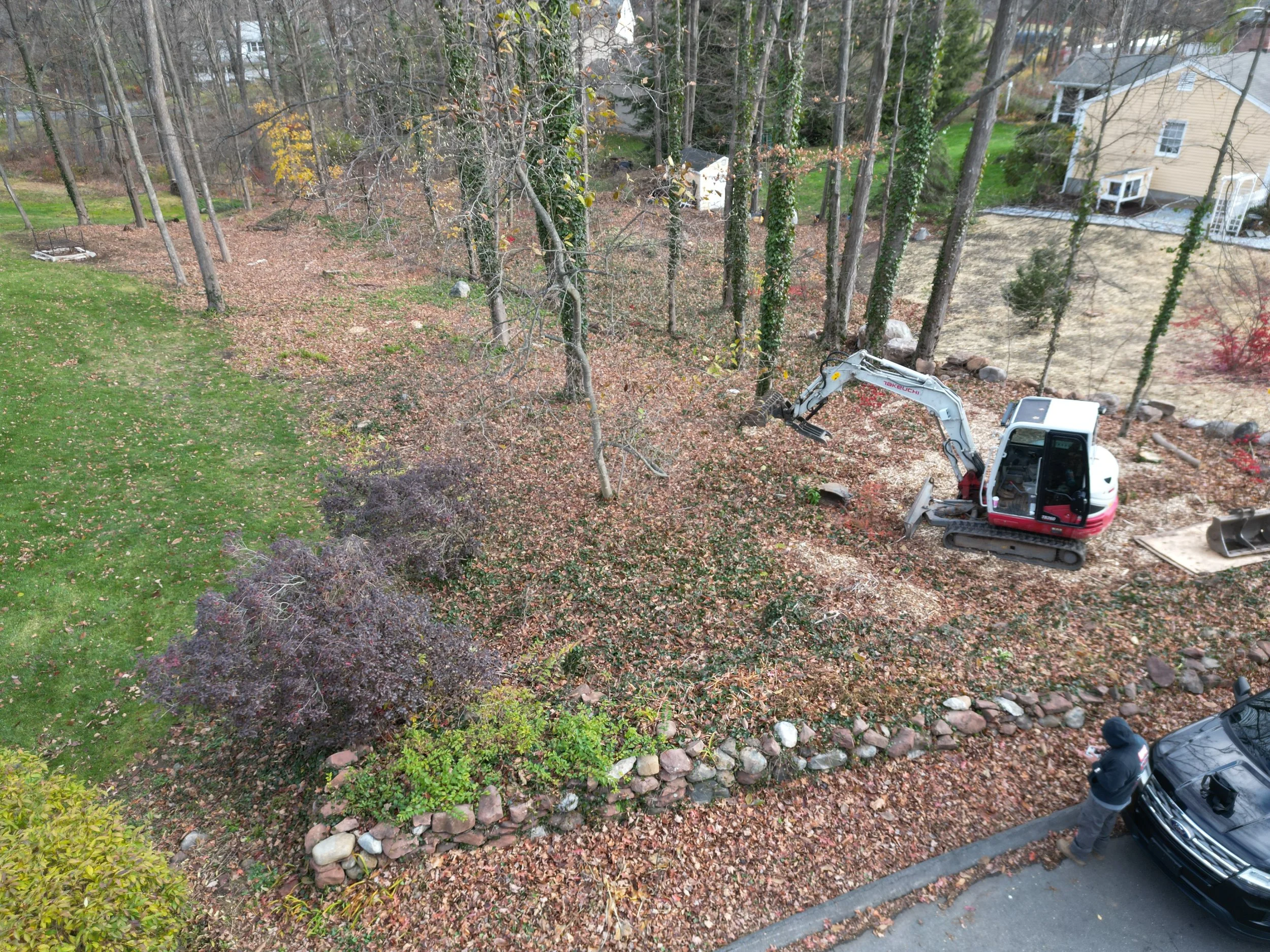 Yard cleanup / expansion