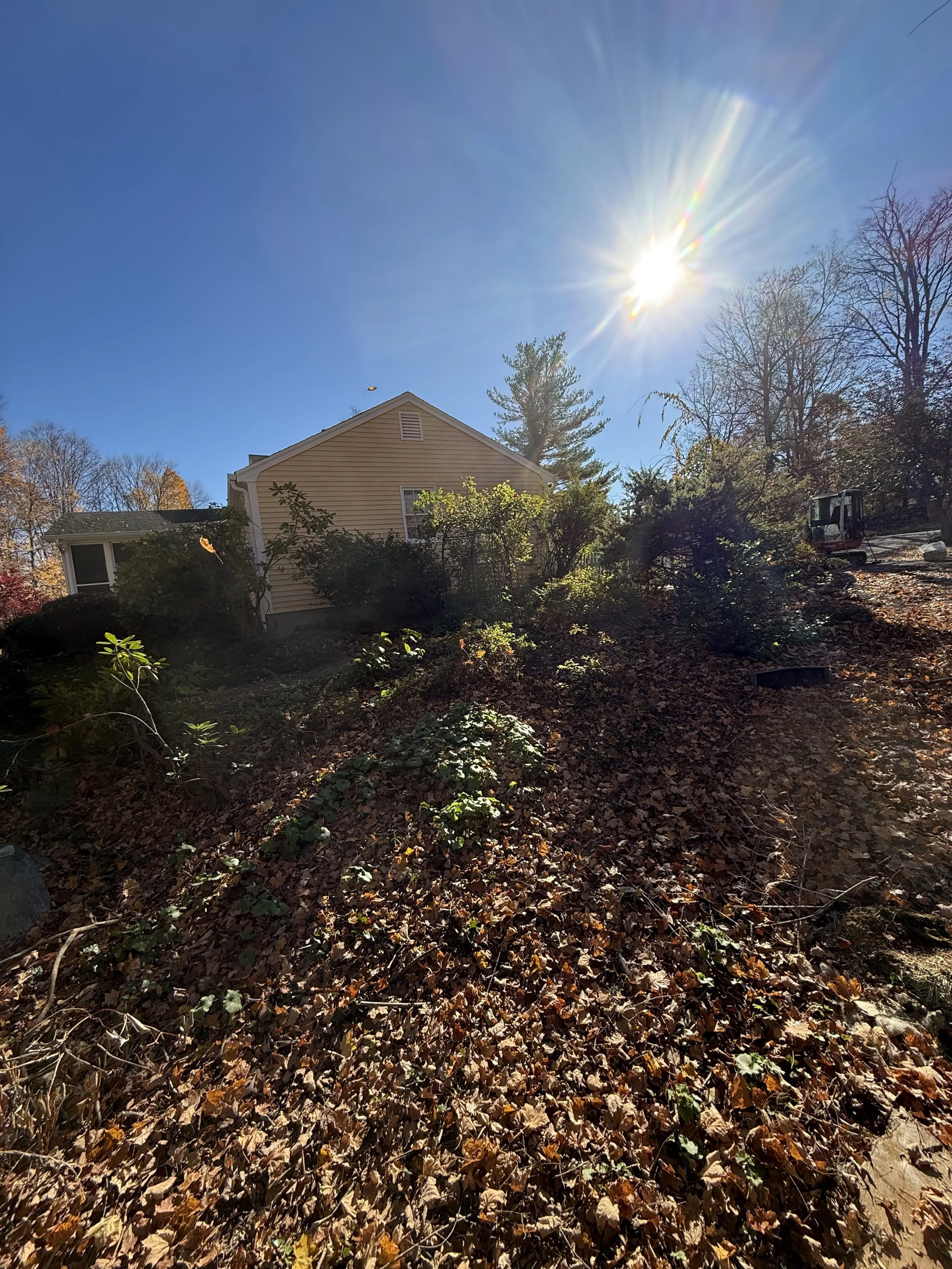 A house on a hill with a bright sun in a clear blue sky, surrounded by trees with some autumn foliage, and fallen leaves covering the ground.