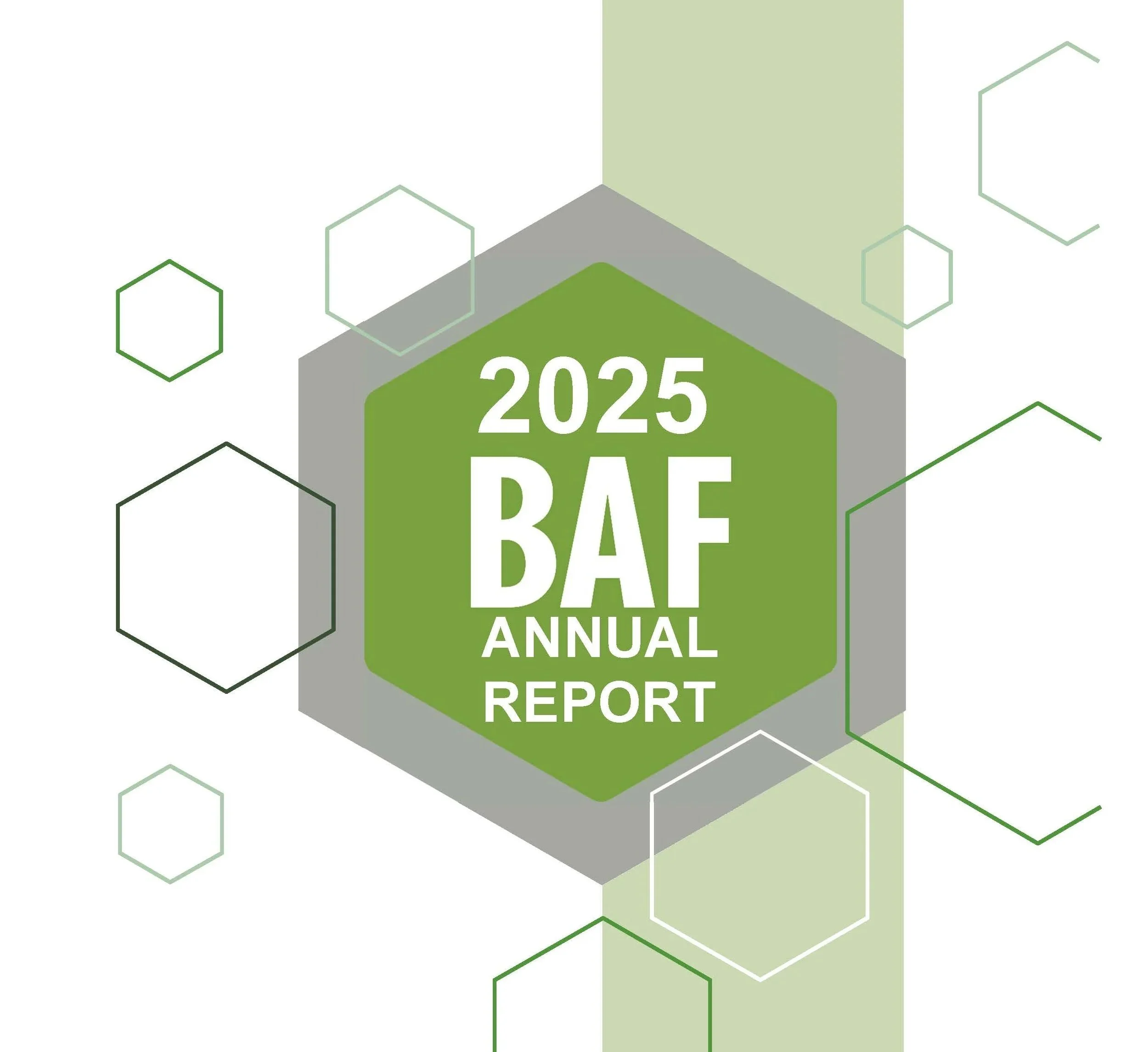 2025 Annual Report