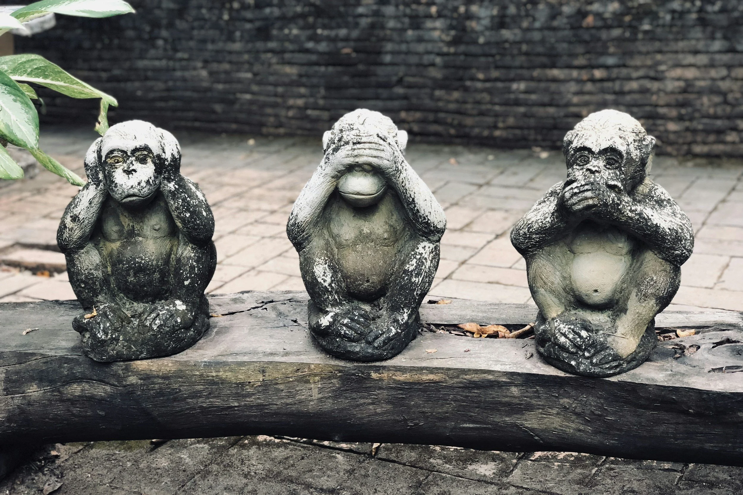 Three wise monkeys