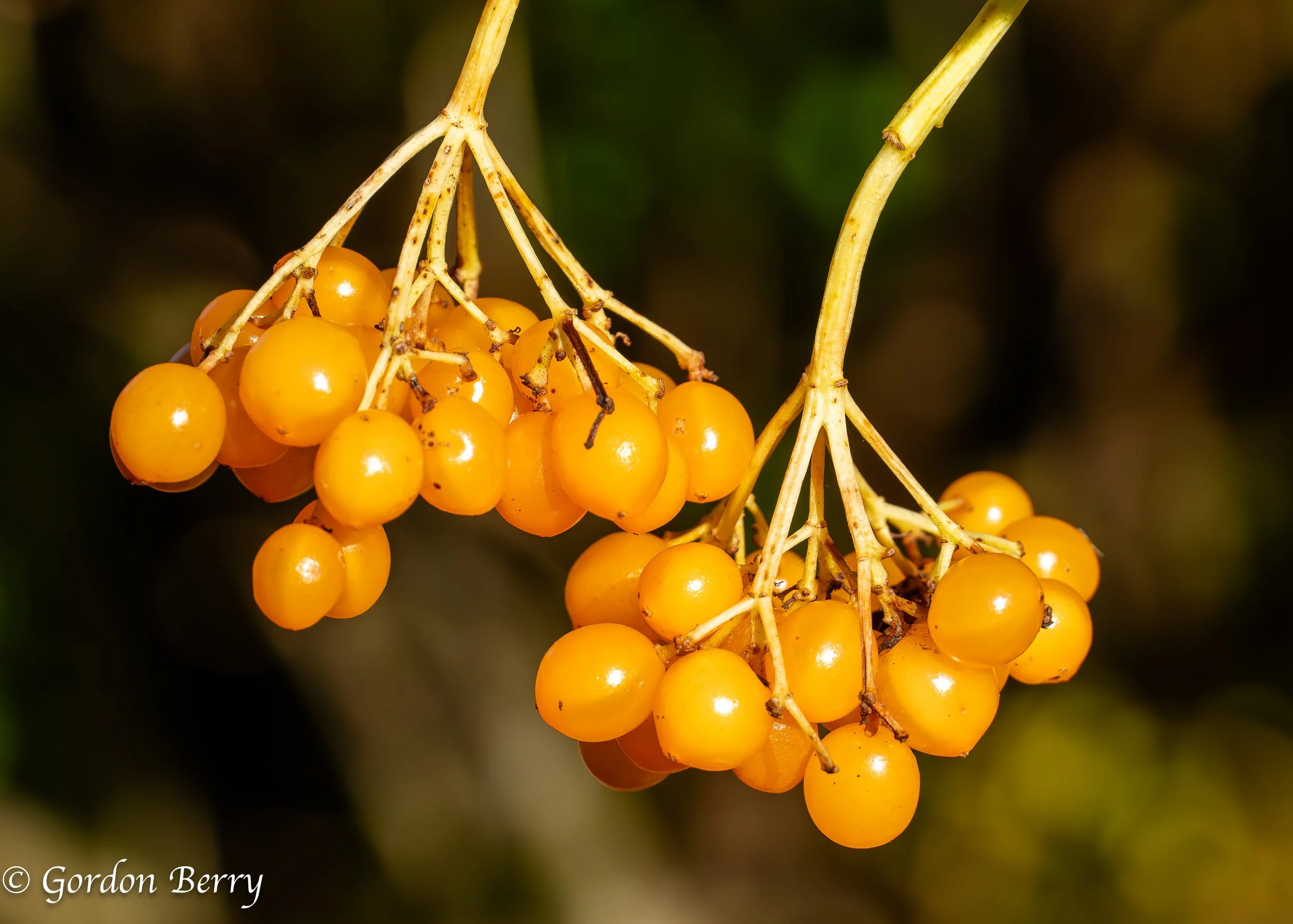 Specialist Breastfeeding Clinic Service Evaluation