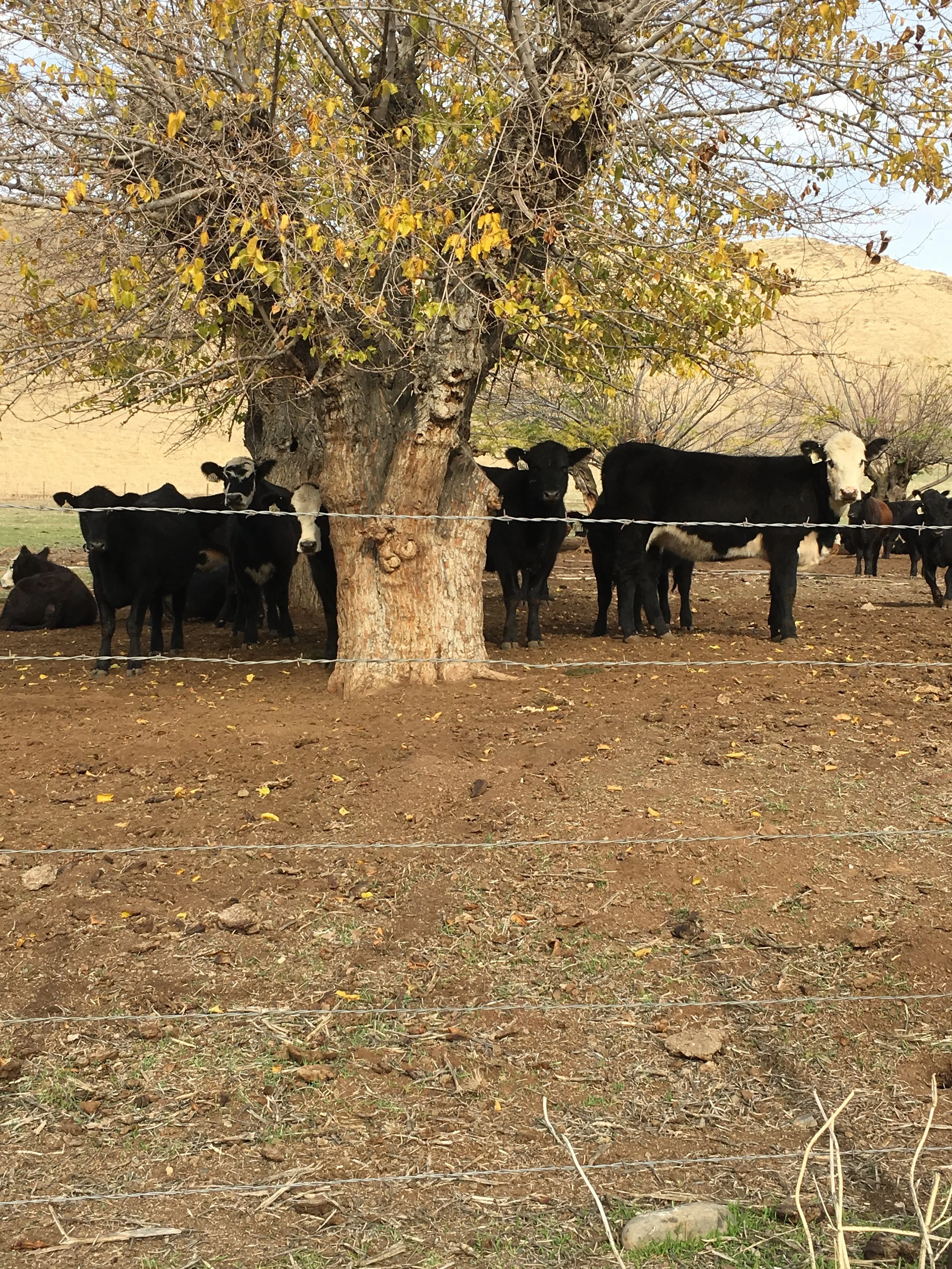 Sometimes school looks different.