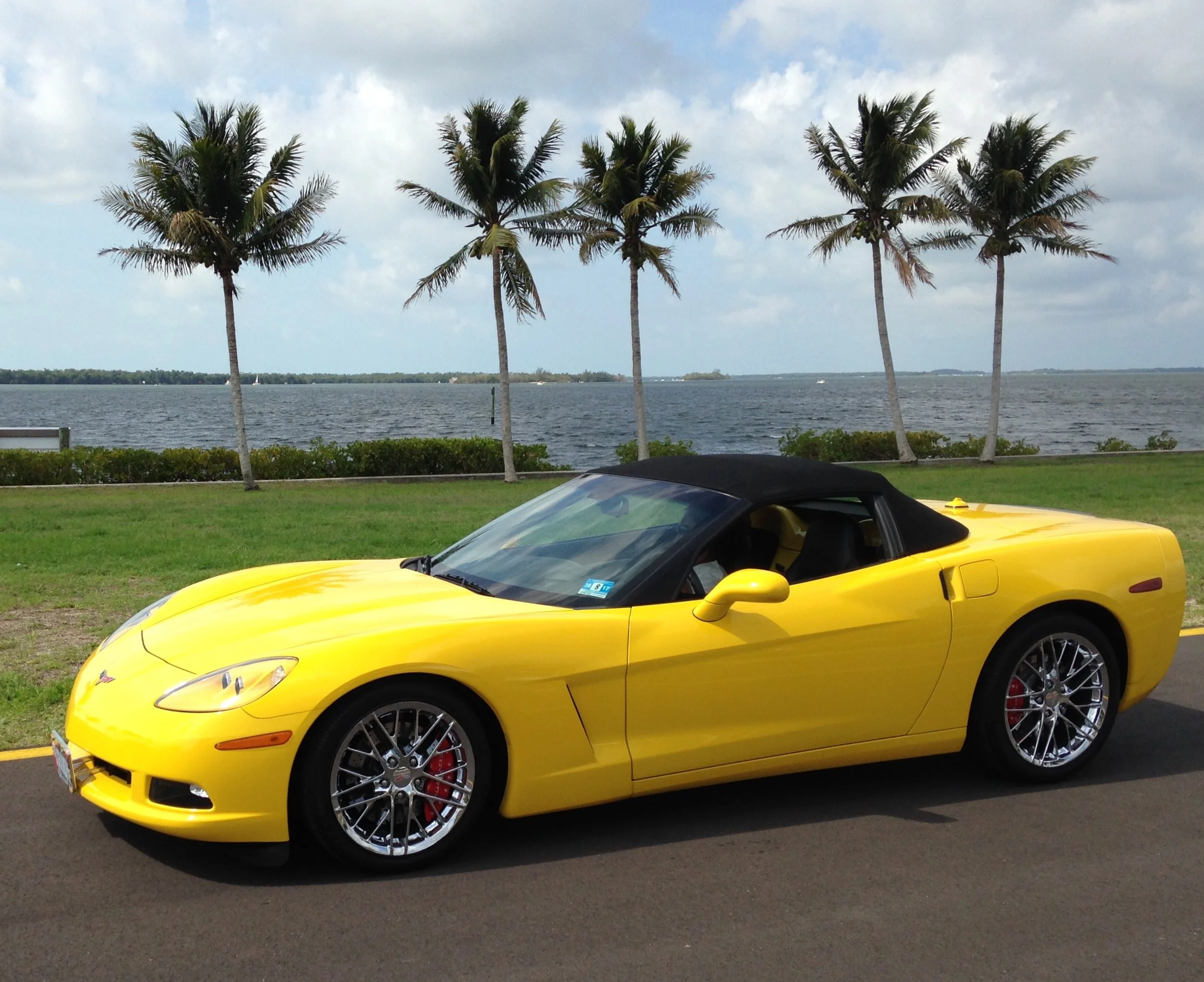 A yellow convertible sports car with a black soft top parked on a paved road near a grassy area with palm trees and a body of water in the background.