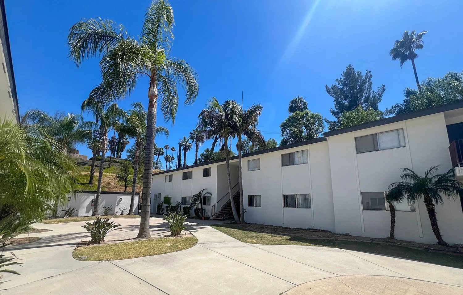 Charming Interior Courtyard at Palm Vista surrounded by Palm Trees and mountain views.