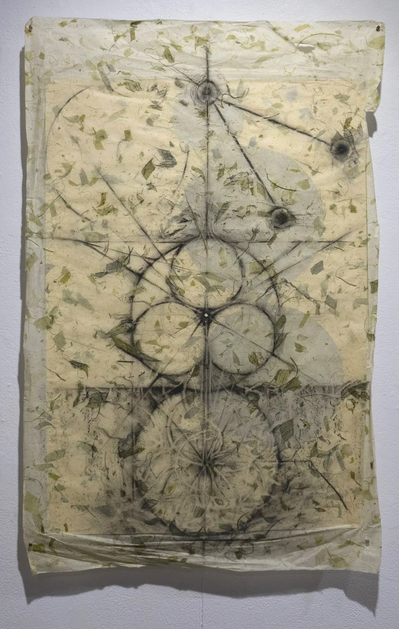 Wild Geese, 2023 - graphite on inclusion paper