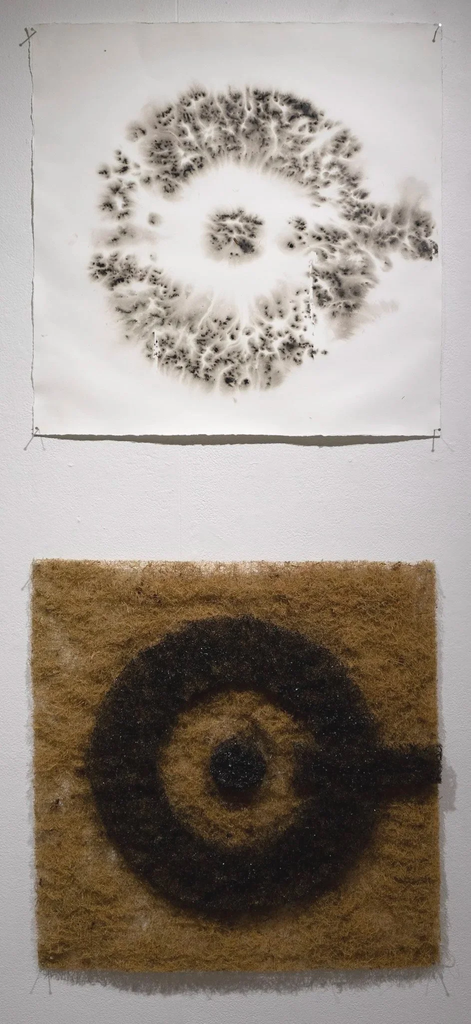 Trophies of a Do-er, 2025 - 
coconut fiber, puring acrylic