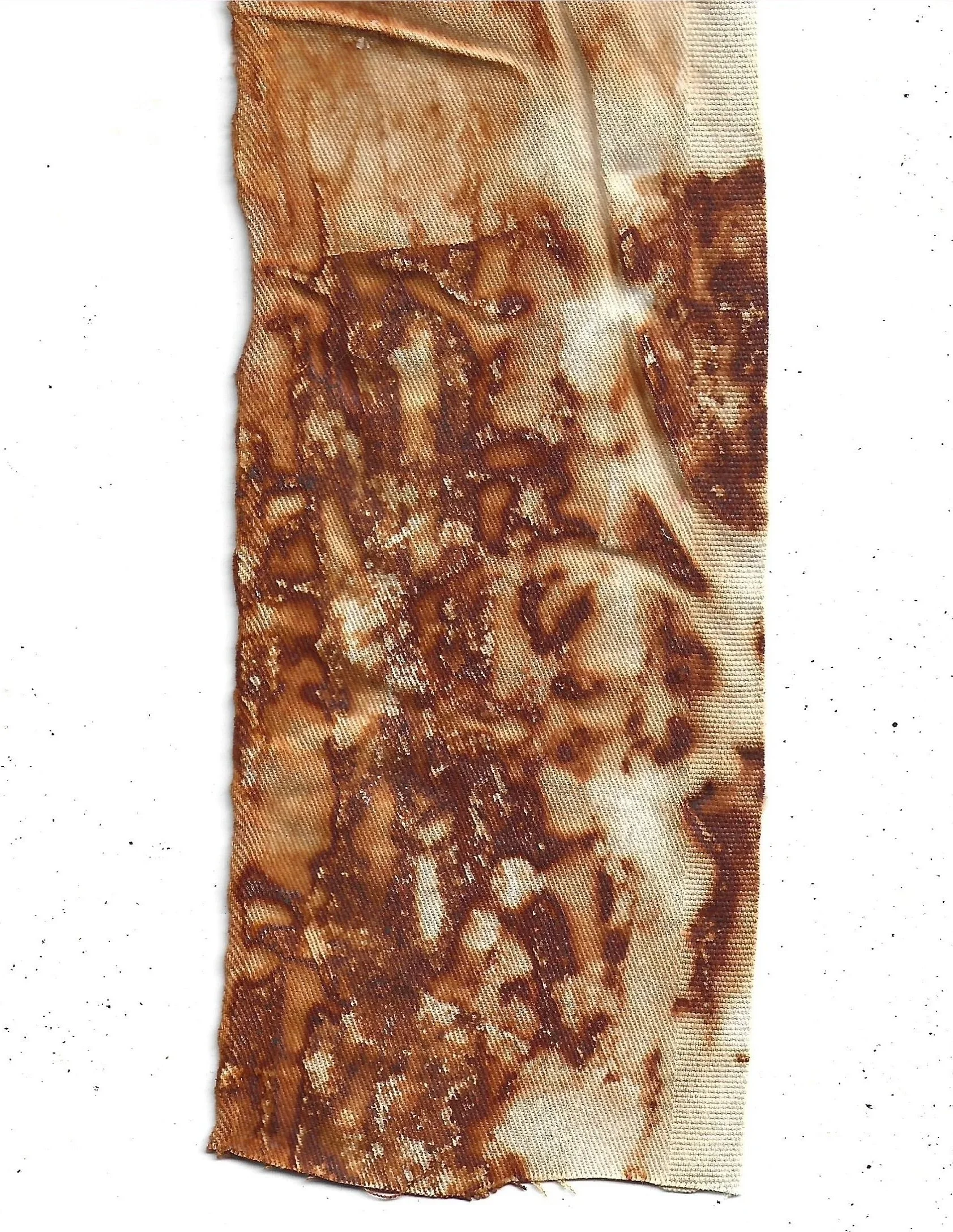 wrapped muffler on canvas (front) - 9.2026