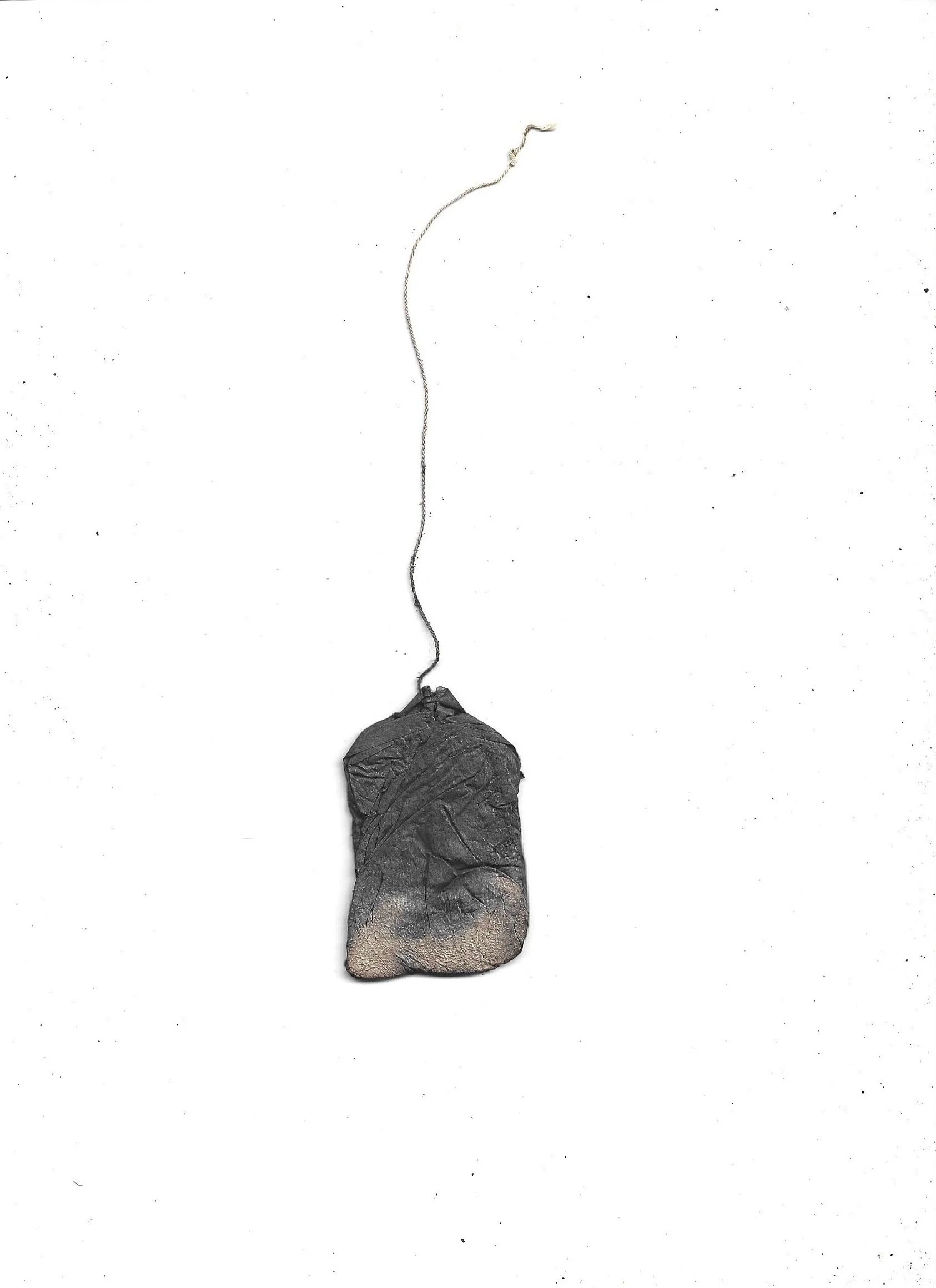 tea bag residual (back) - 9.2026