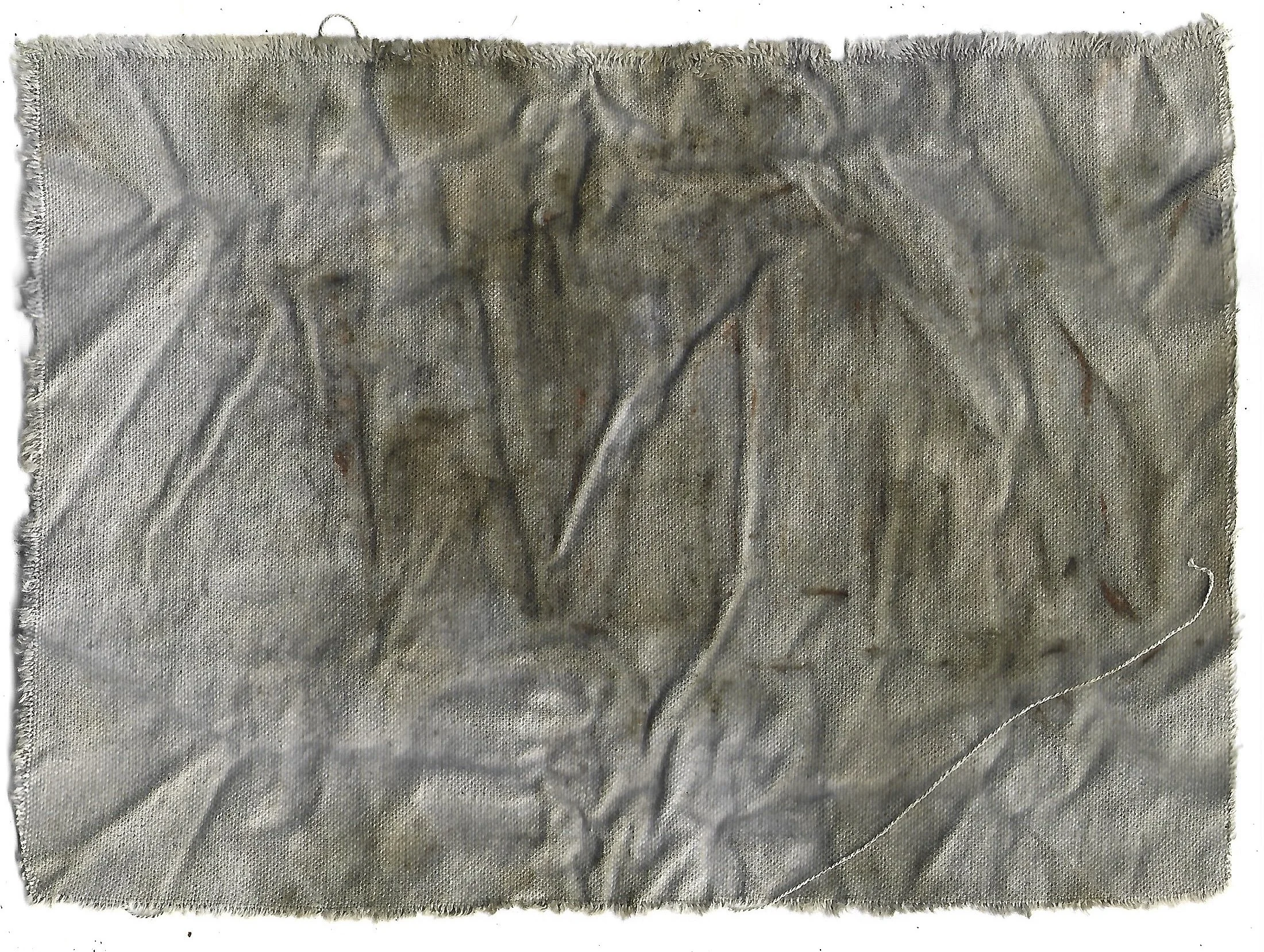 steamed onion and rust wrapping (back) - 9.2026