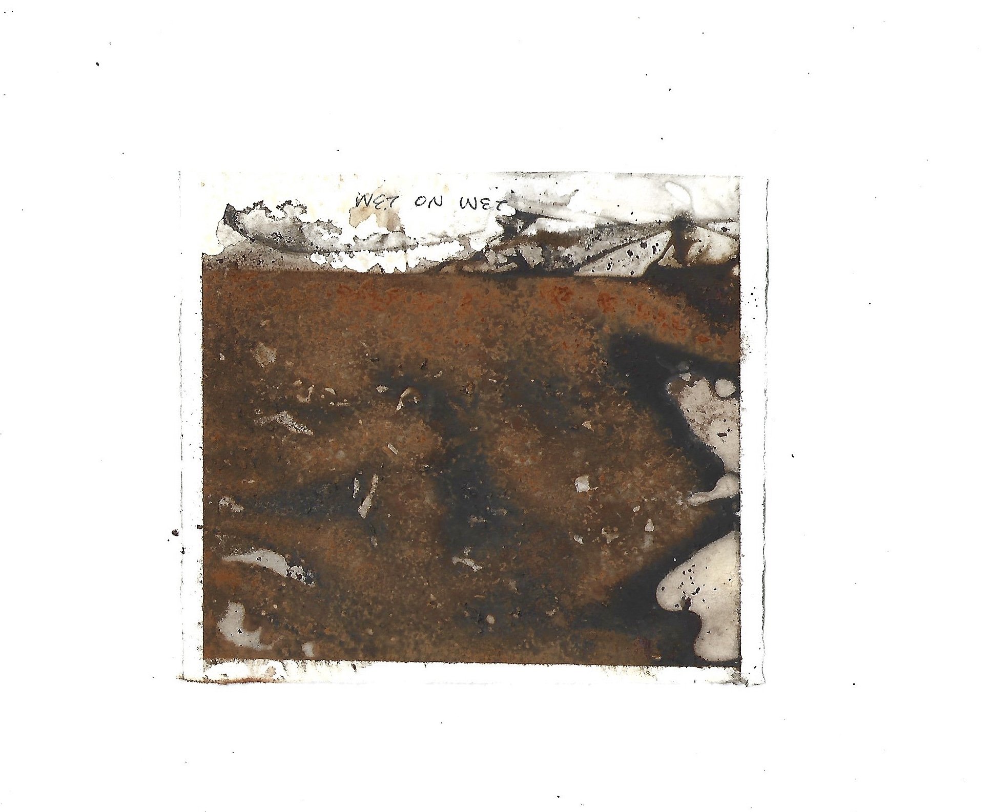 wet on wet tea - 9.2026