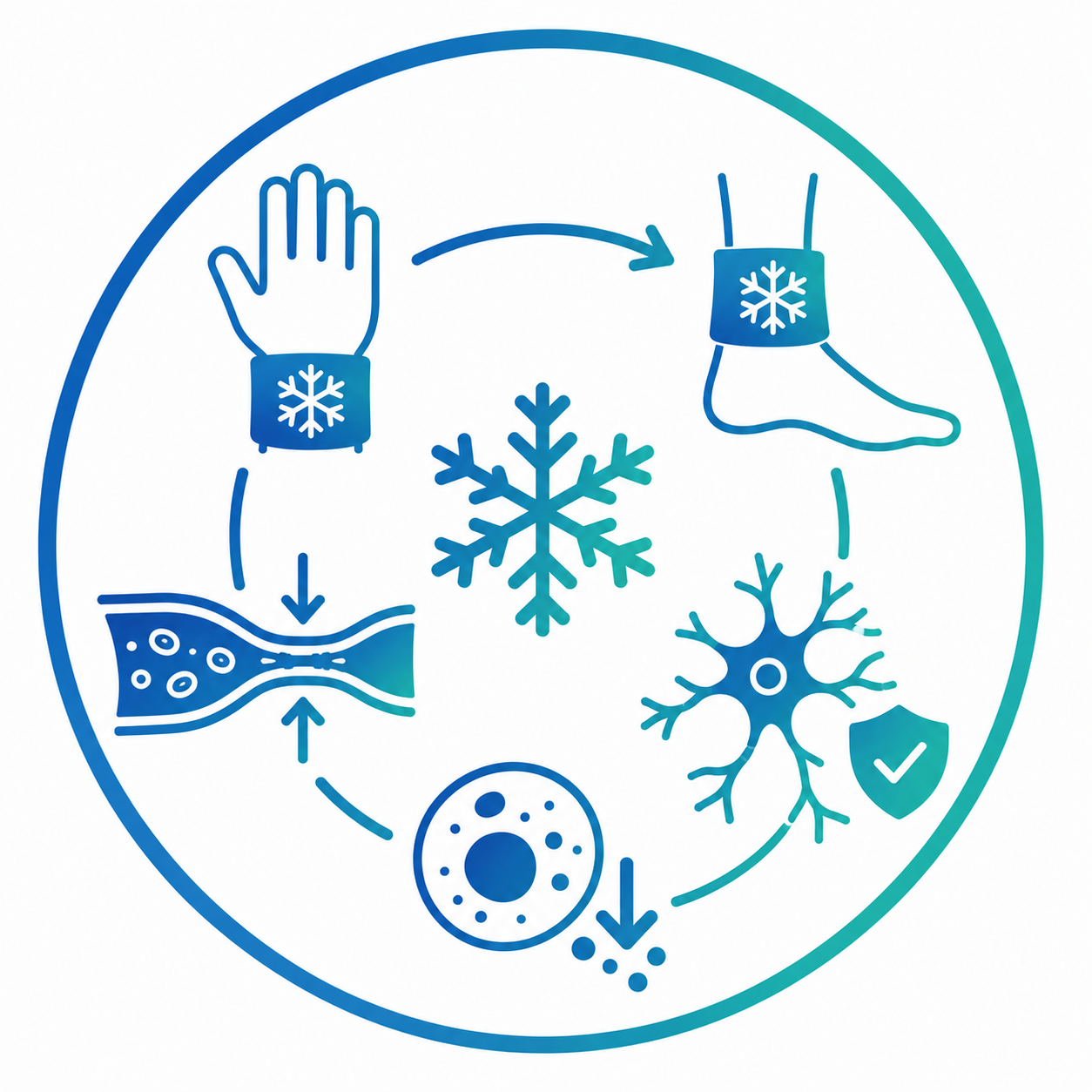 Badge with a hand, a foot, nerves, cells, blood vessel, all surrounding a snowflake