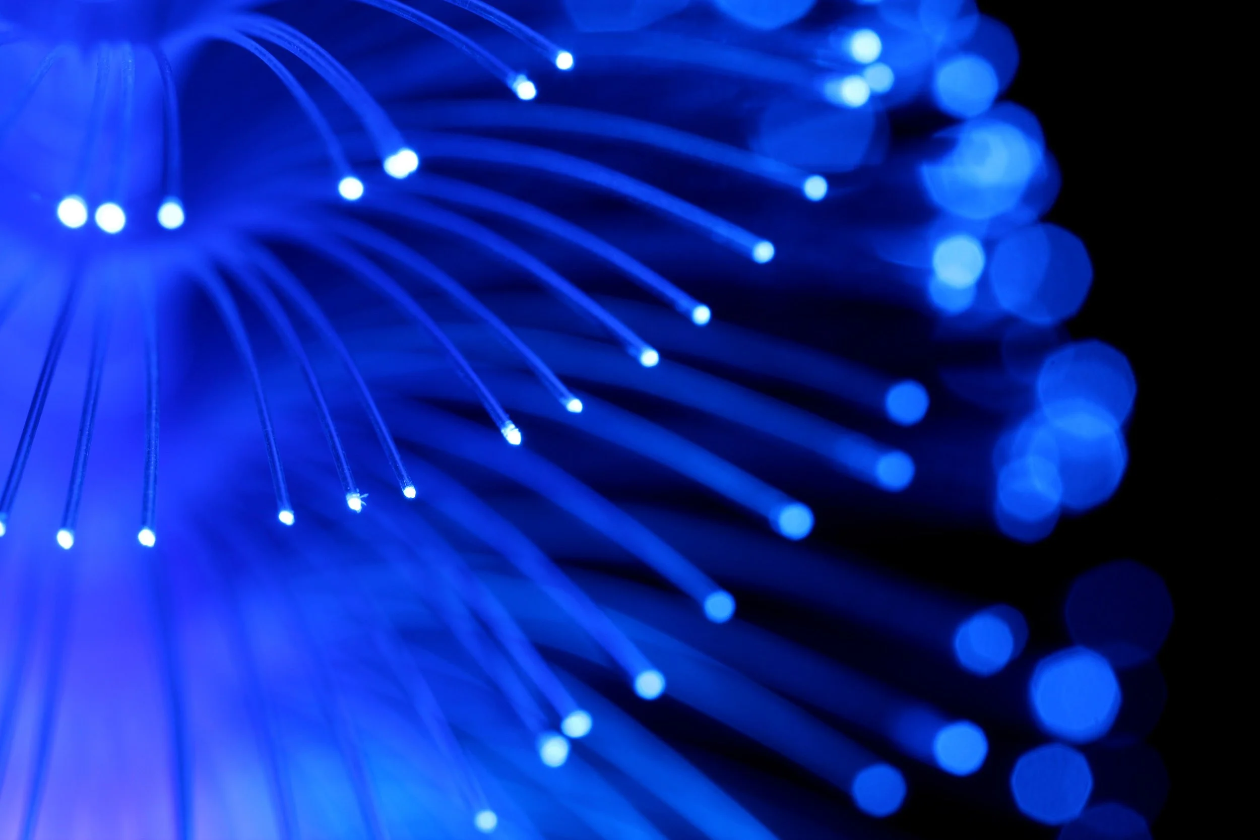 Christmas Tree 1.JPG