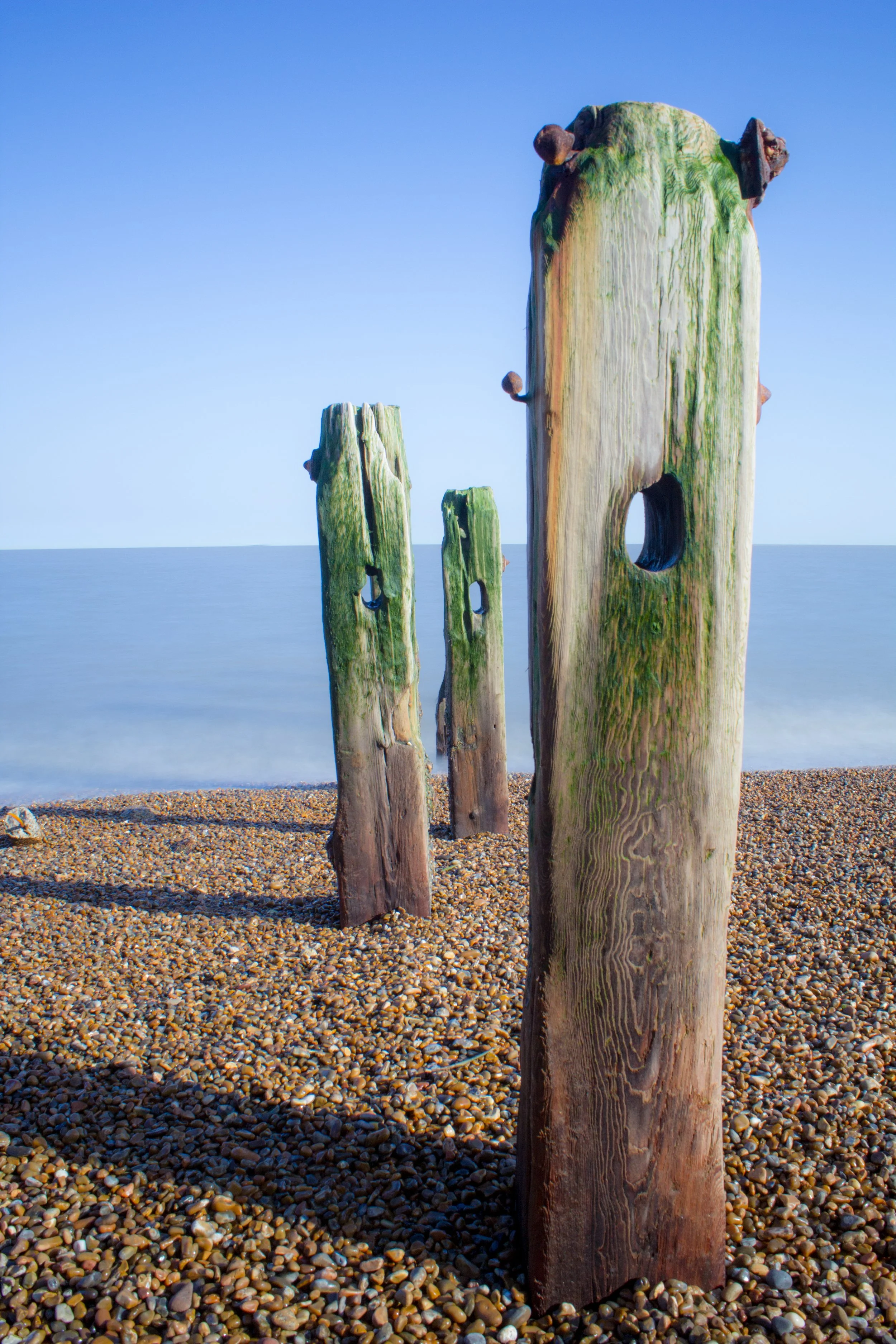 Take Me To Your Leader.jpg