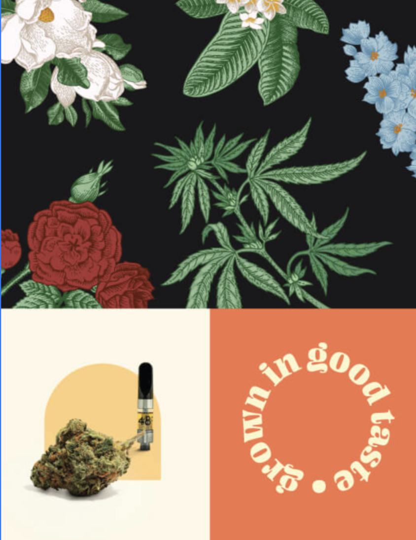 Screenshot 2026-02-15 at 11.59.41 AM.png