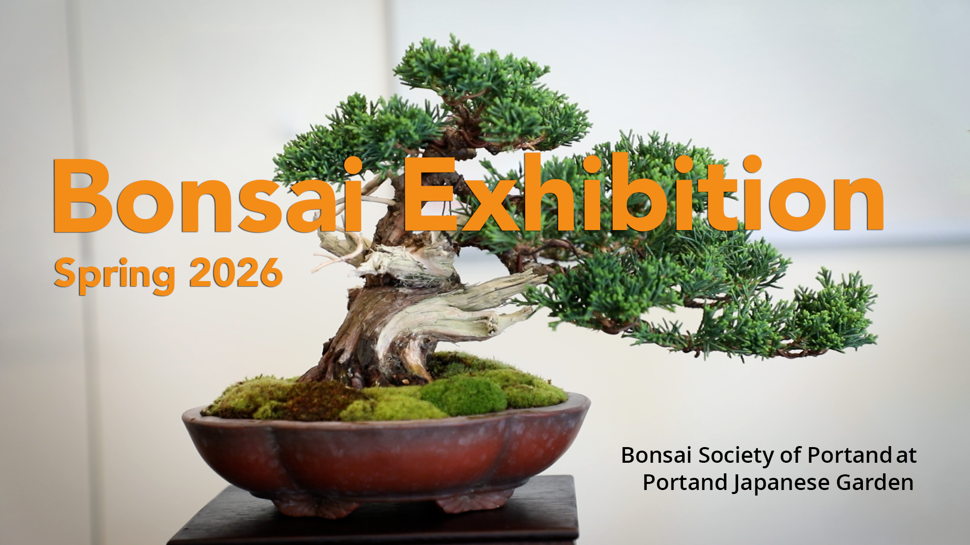 Bonsai Garden Show Thumbnail.png