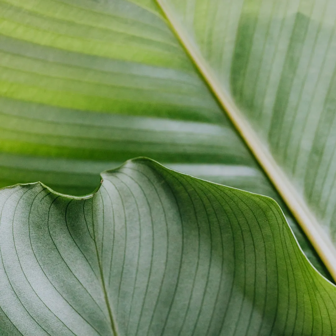 A Unique Approach to Care