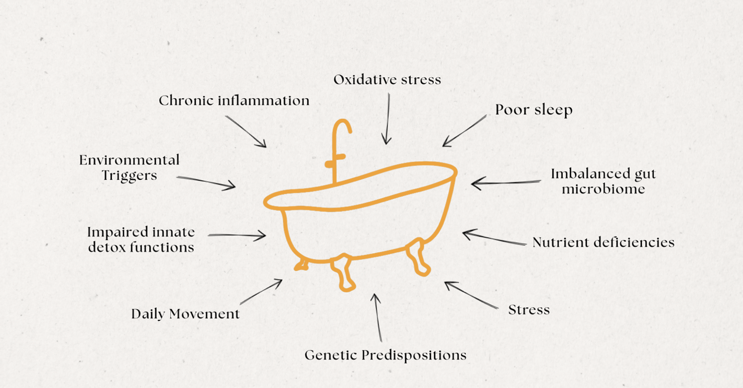 bathtub analogy, environmental stressors