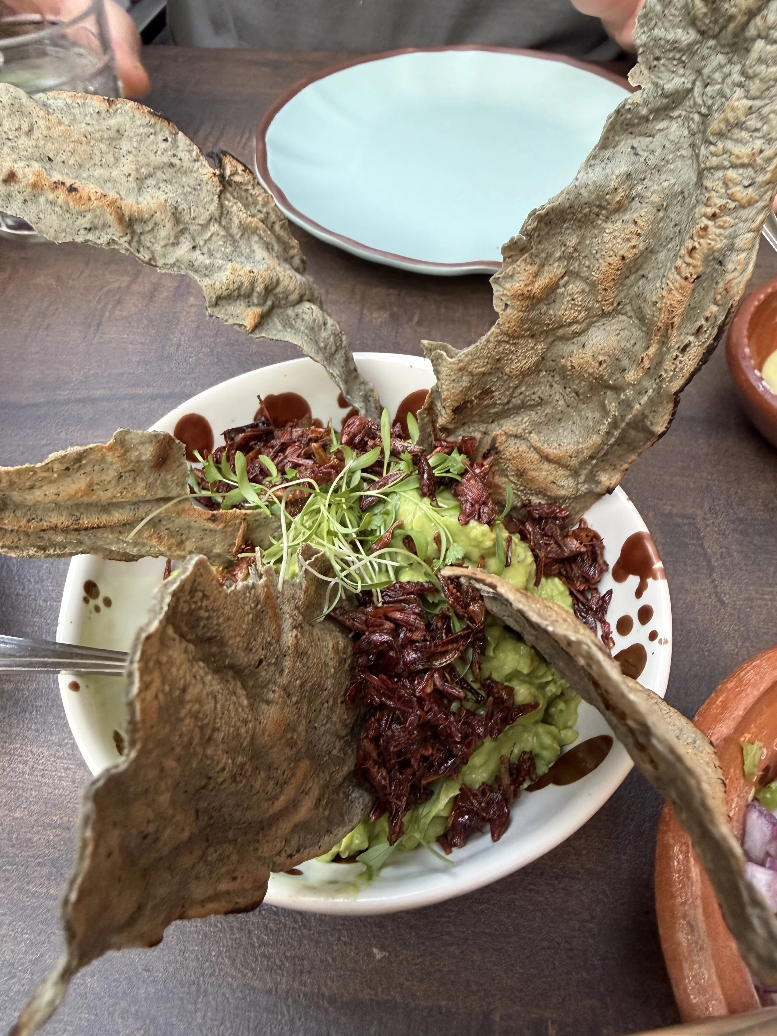 Guacamole w/Friend Grasshoppers