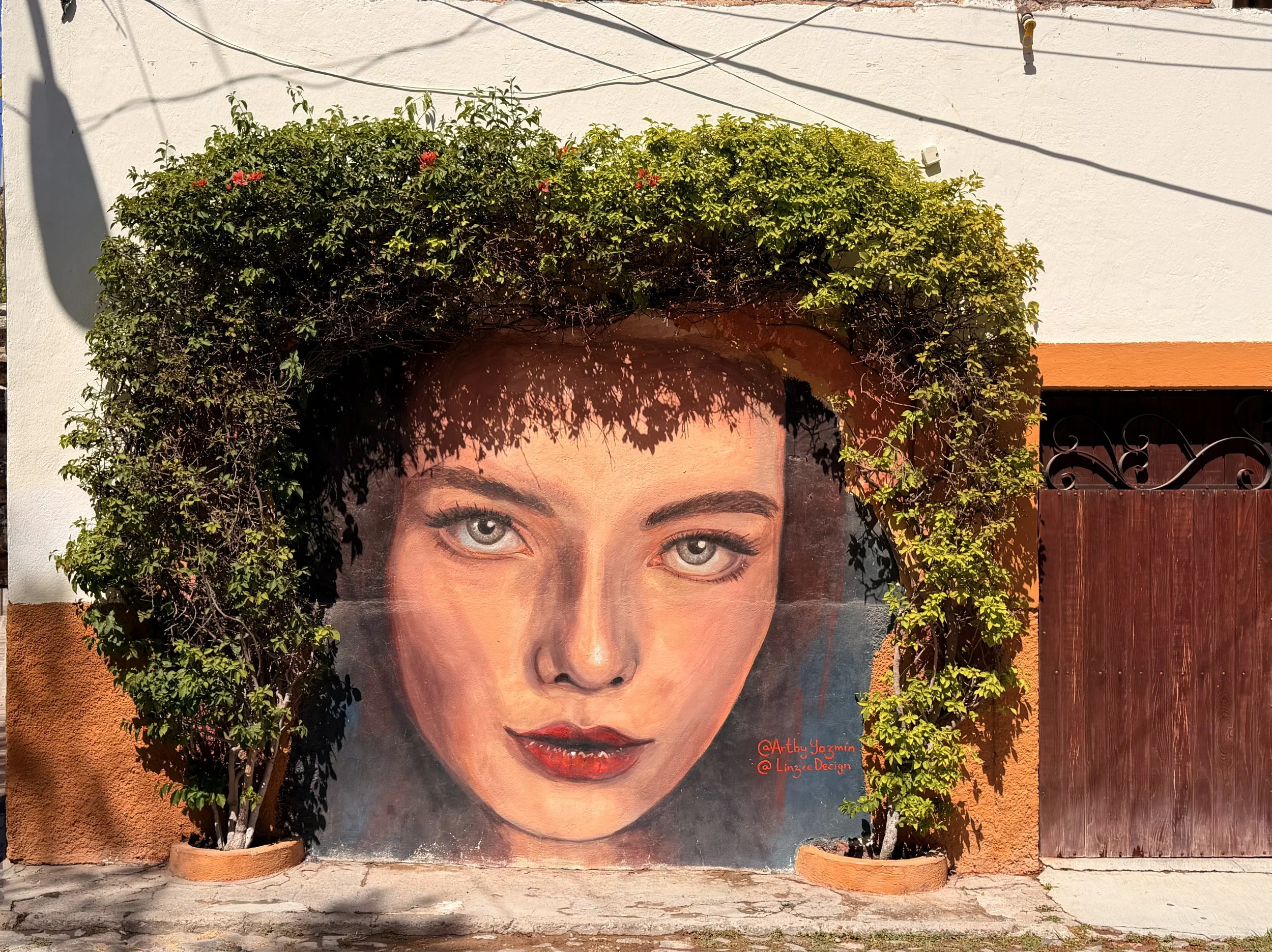 Colonia Guadalupe