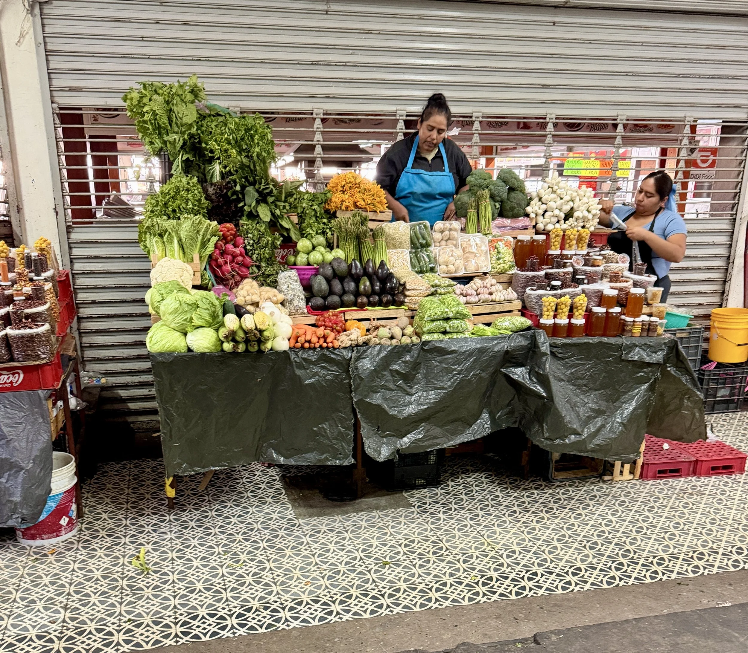 Back for Seconds… What to Eat in Mexico 🇲🇽 (Part 2)