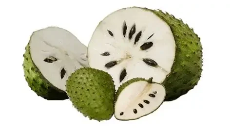 Soursop