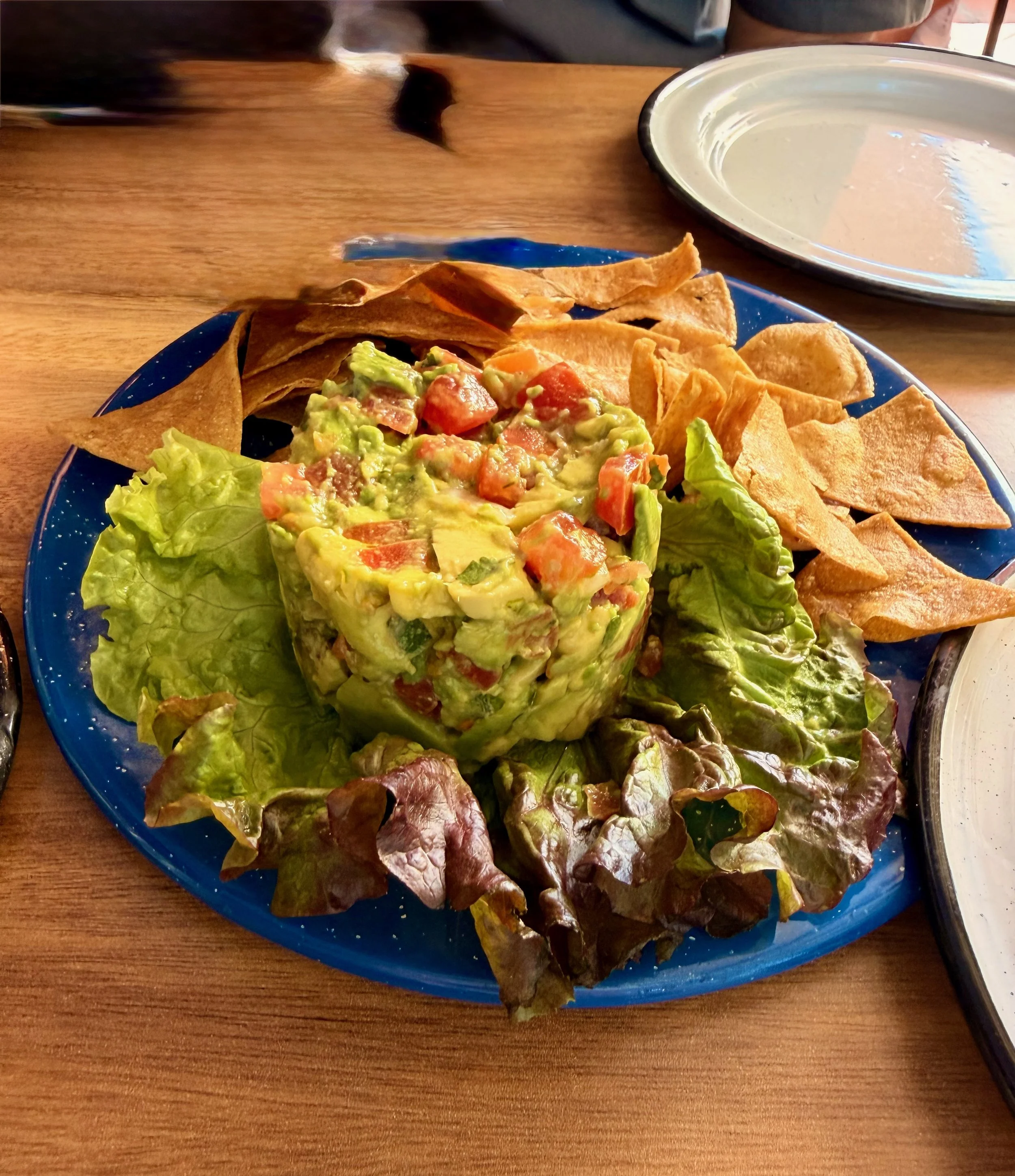 Fresh made Guacamole