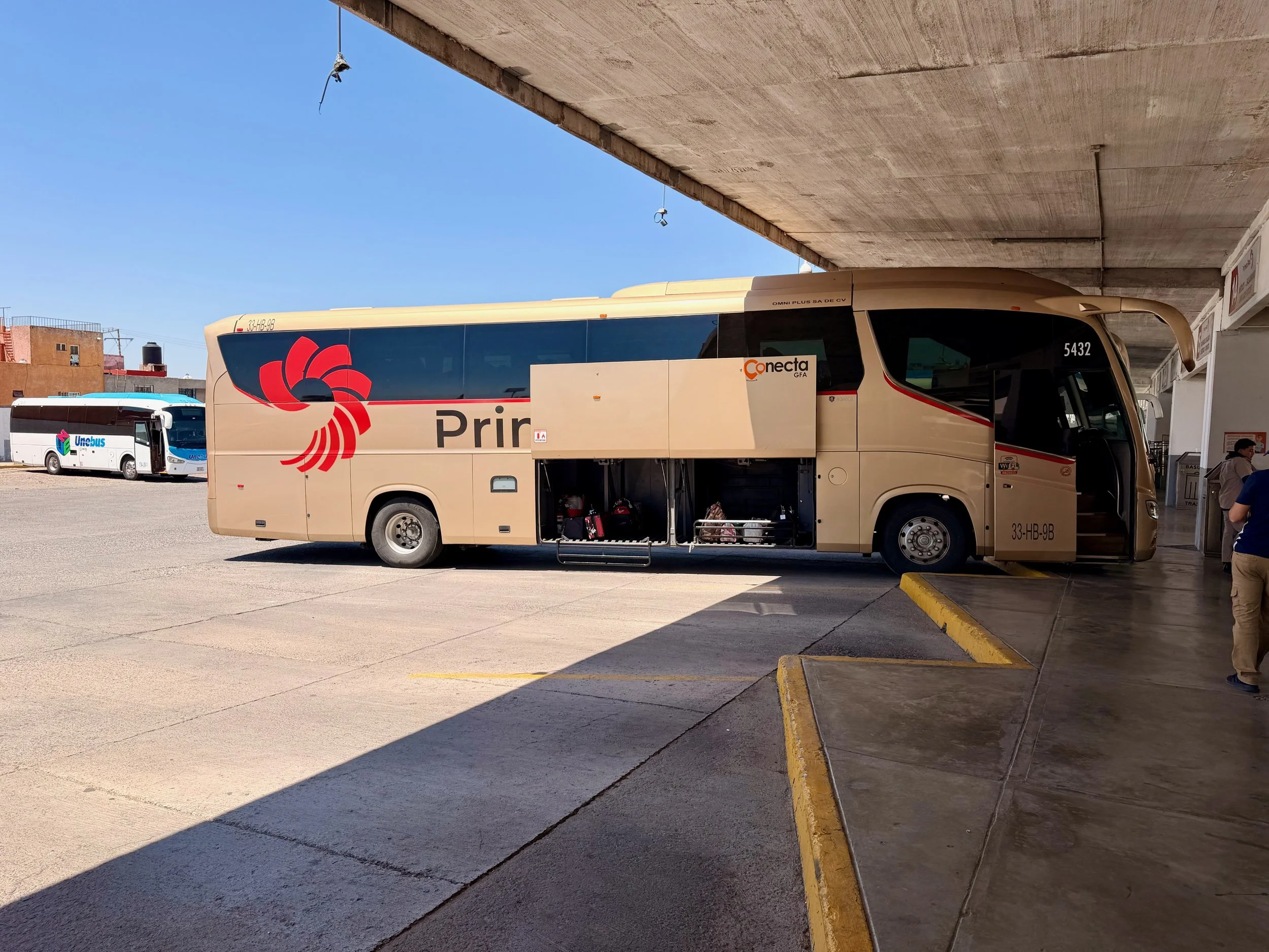 Premera Plus Bus