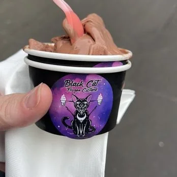 Frozen Chocolate Custard
