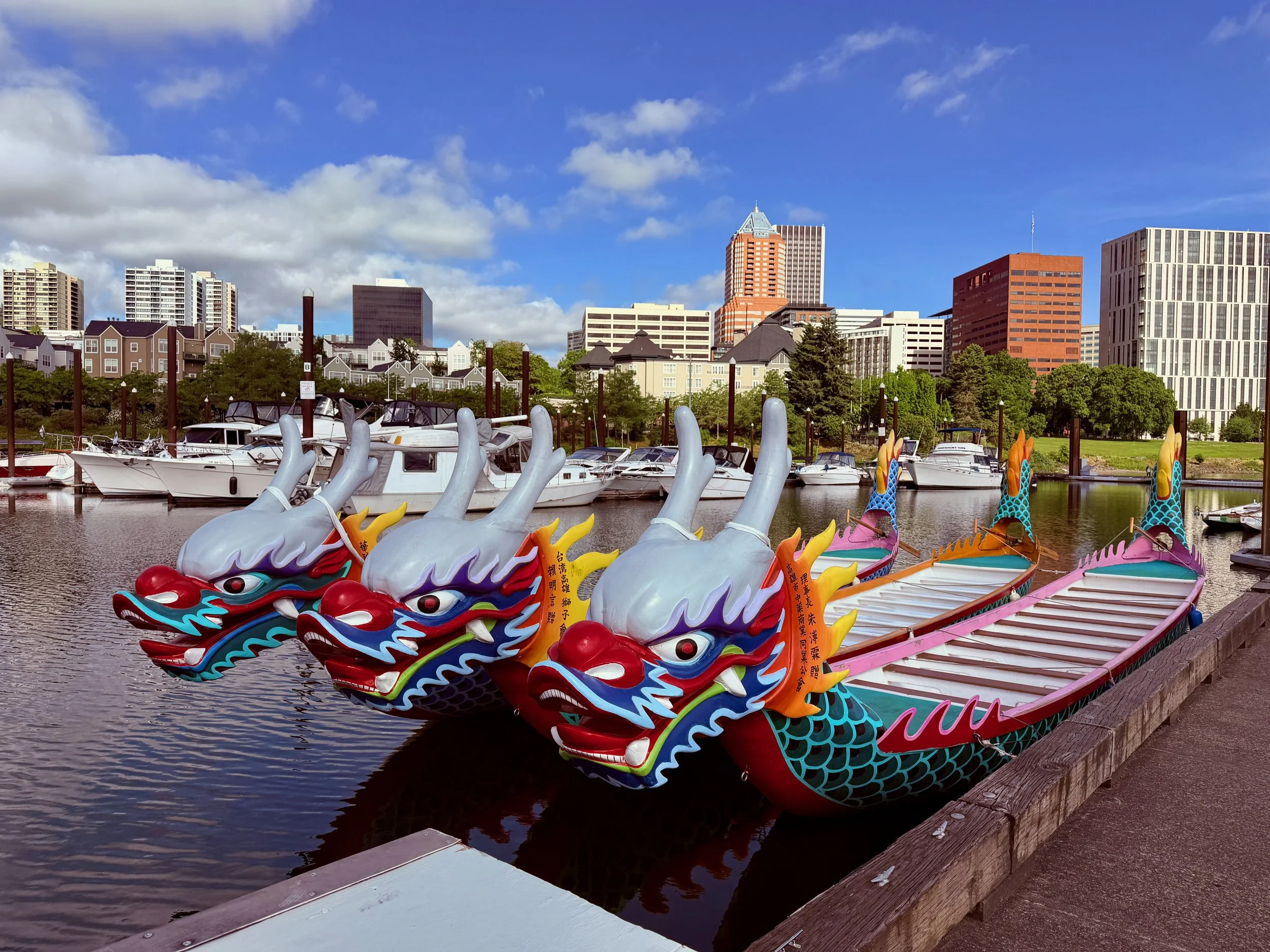 Dragon Boats At The Marina