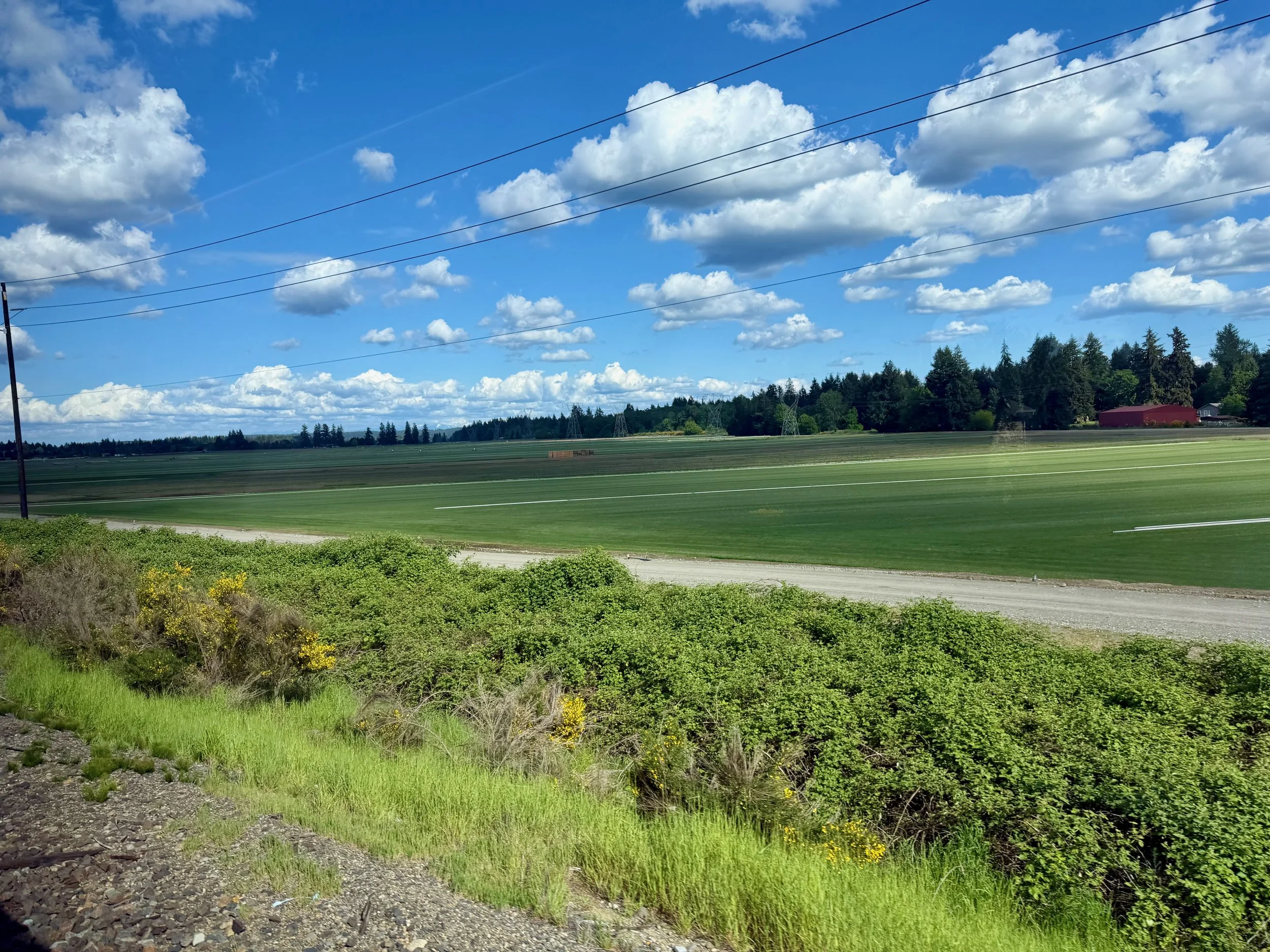 Fields Outside In The Puyallup Valley