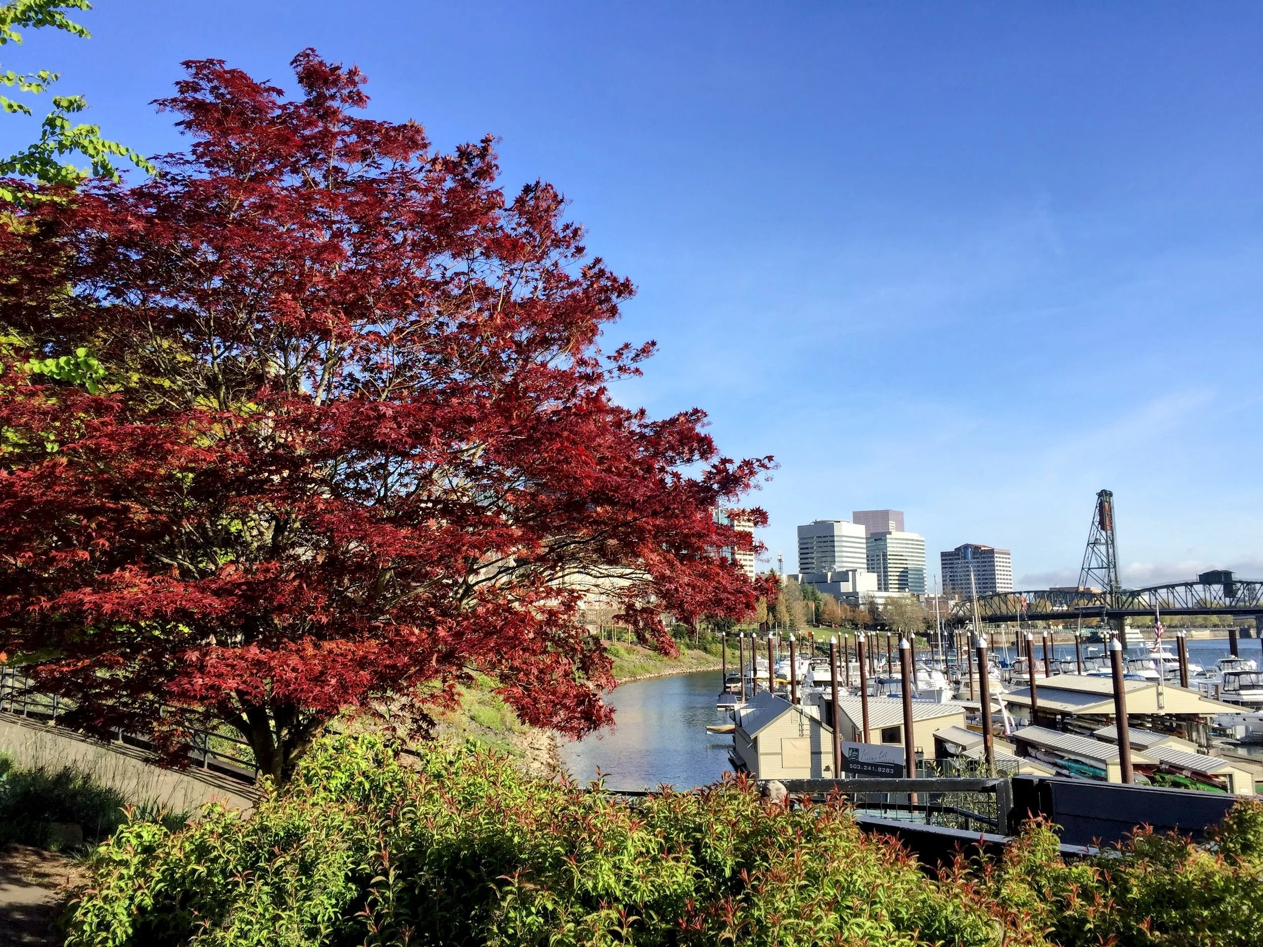 The Perfect Weekend Getaway to Portland, Oregon