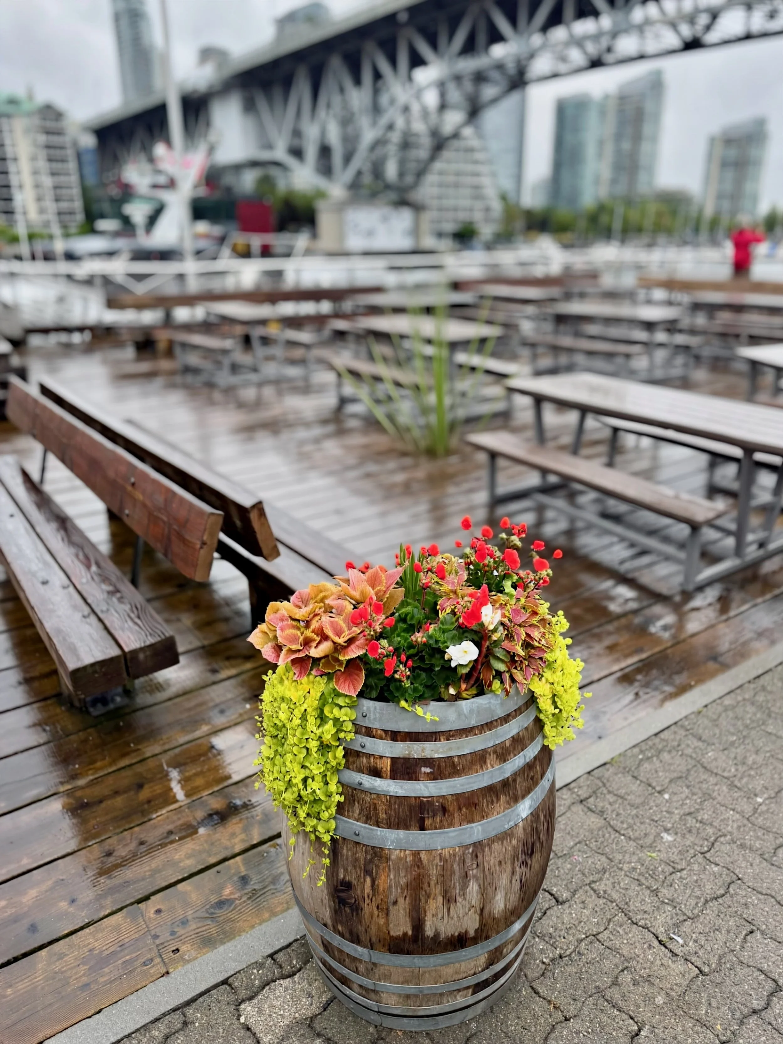 A rainy summer afternoon at Granville Island 