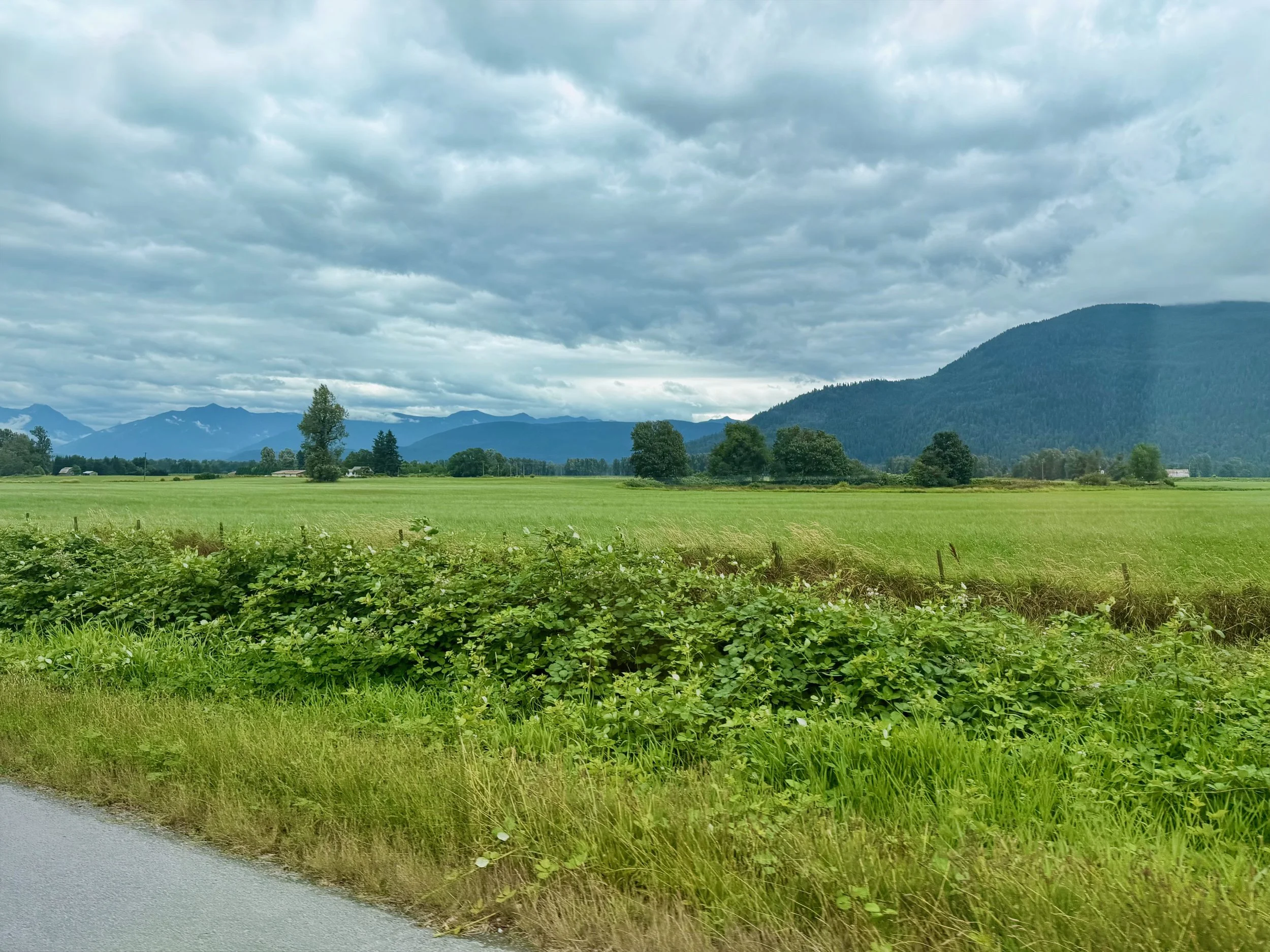 Green Fields of the Fraser Valley