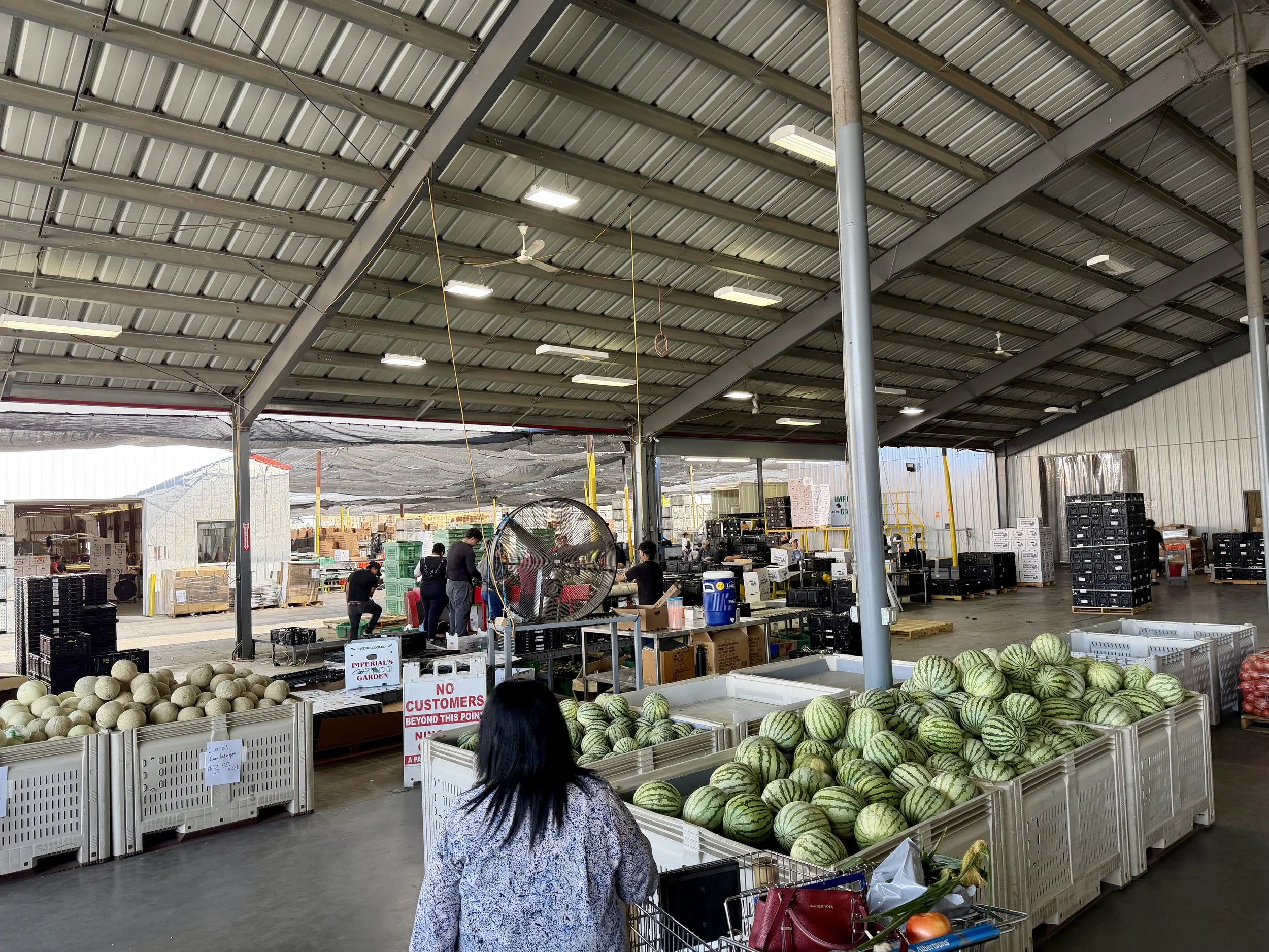 Bins of locally grown watermelons and cantaloupes at Imperial Garden in Wapato, Washington